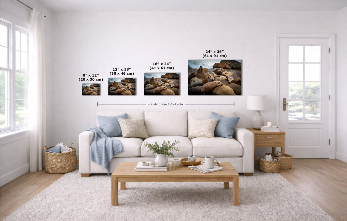 A staged living room shows four wall art prints above a white sofa, with overlaid size labels for each print. Because a real interior environment is present, this is Lifestyle rather than Product/Packaging, even though the prints are the product.