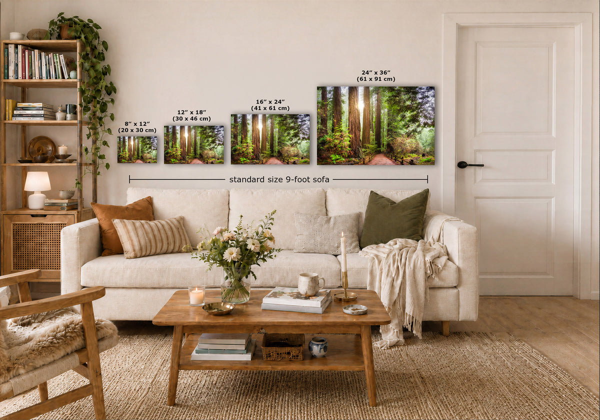 A staged living room shows a white sofa, wooden coffee table, shelving, and a wall with four framed forest artwork prints above the couch. White dimension lines and text indicate the sizes of the prints and note a standard size 9-foot sofa.