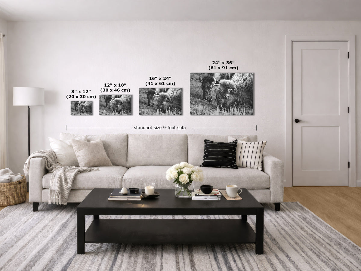 A staged living room showing a set of four black-and-white wall art prints above a light sofa, with size labels overlaid for each print and a total width note. The room includes a coffee table, rug, lamp, and door.
