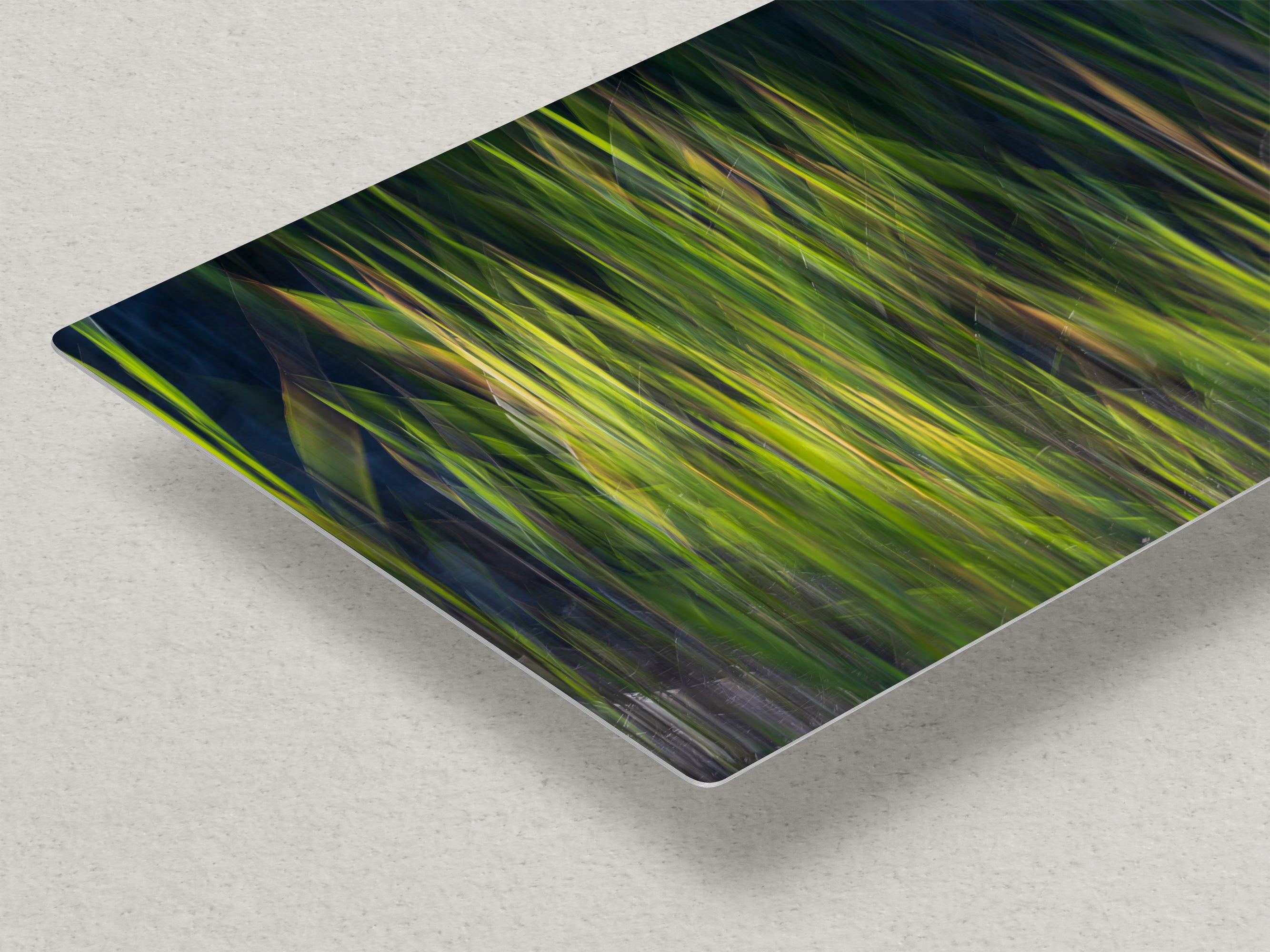 Sage Green Abstract Art Nature Photo