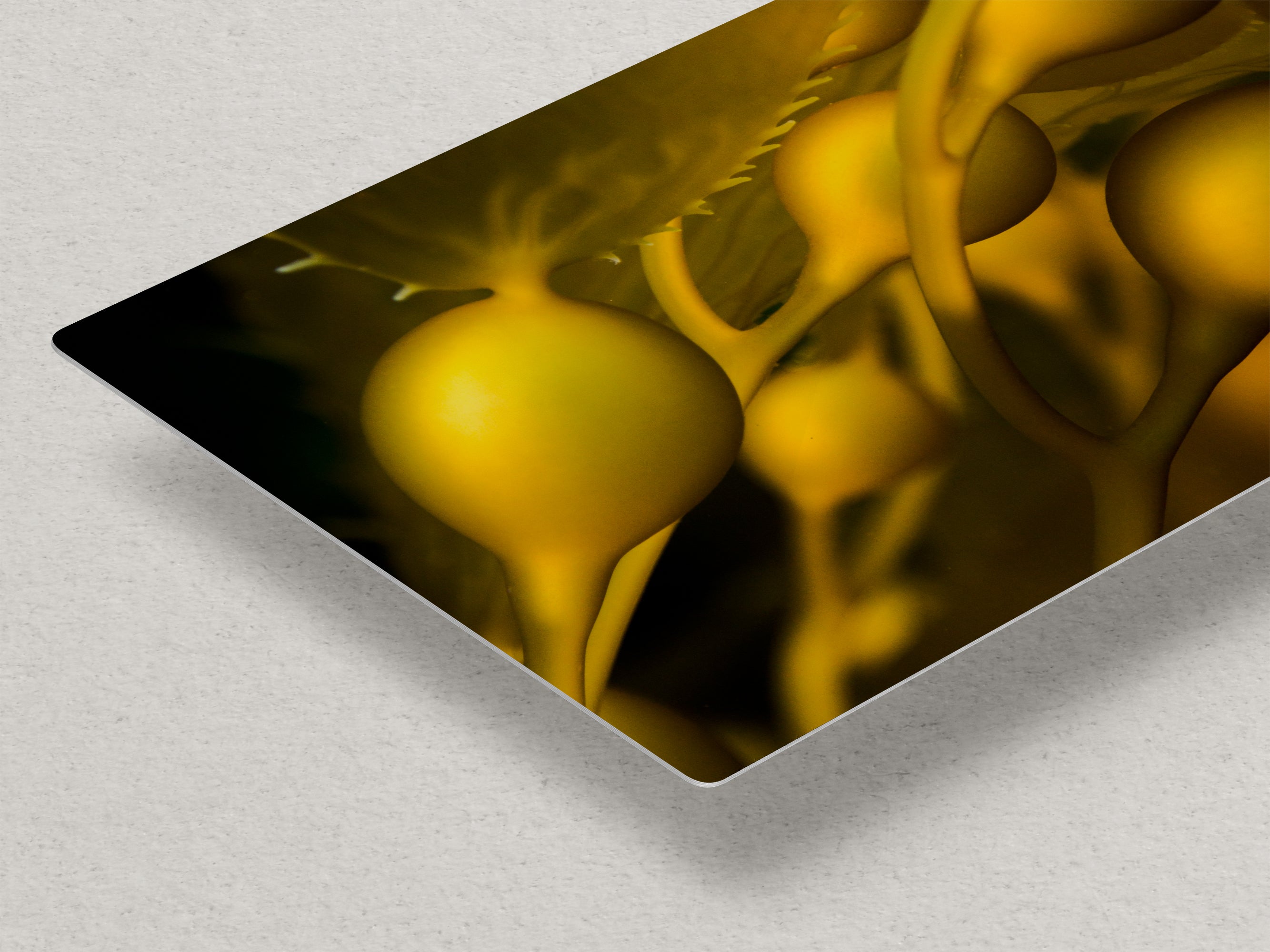 Kelp Forest Seaweed Pictures Underwater Scenery, Ocean Life Marine Biology Nature Photo Relaxation Artwork Decor for Office Dorm Room Decor