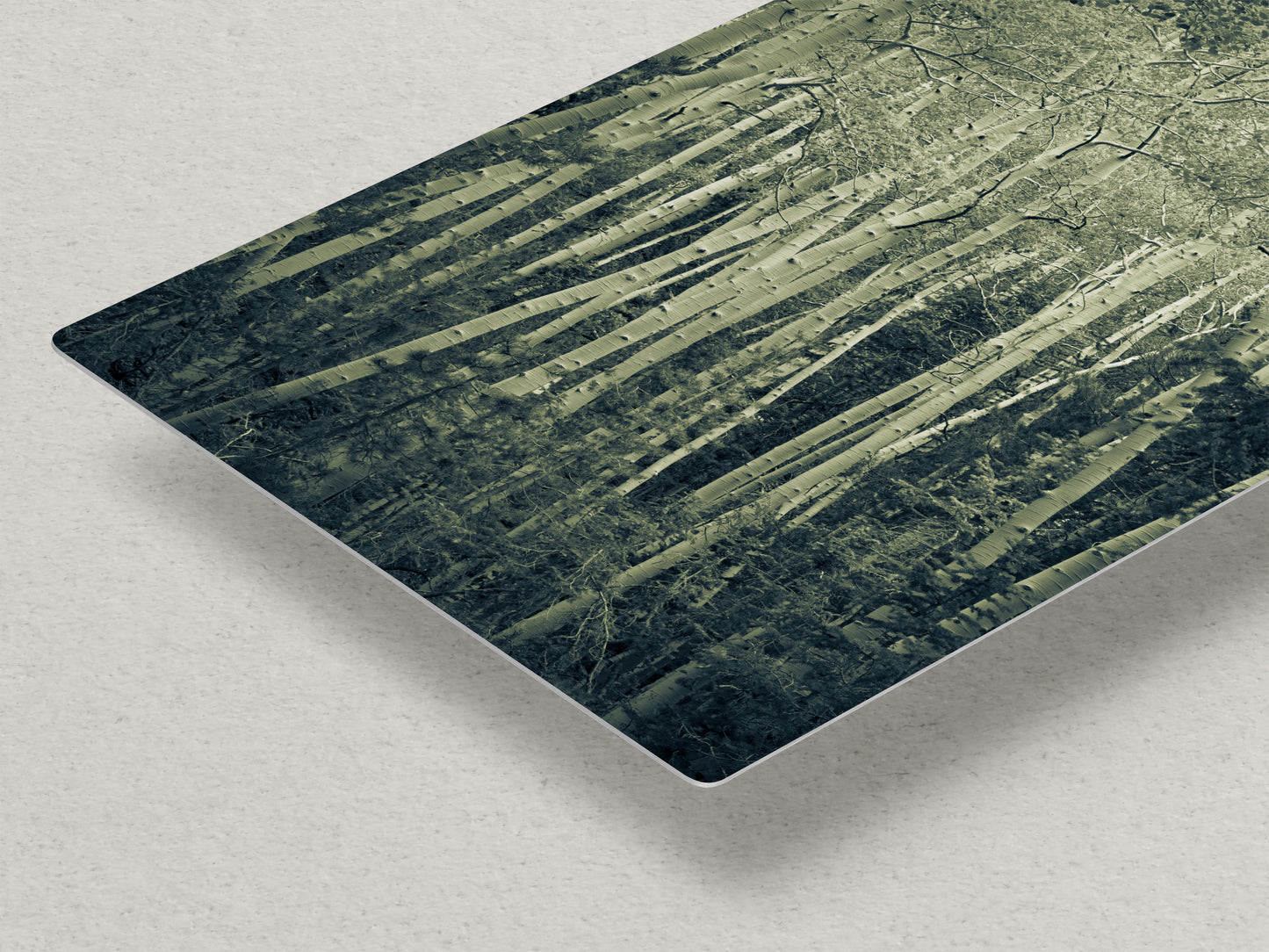 Aspen Tree Forest Picture Nature Photo, Forest Bathing Relaxation Artwork, Rustic Wall Art for Bedroom, Office, & House Decor