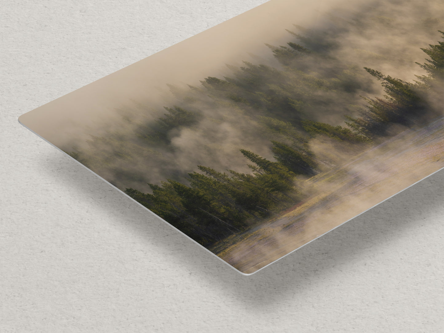 Foggy Forest Picture Forest Bathing Nature Photo, Yellowstone Misty Trees Wall Art, Cabin Decor, Canvas, Paper, Metal Prints