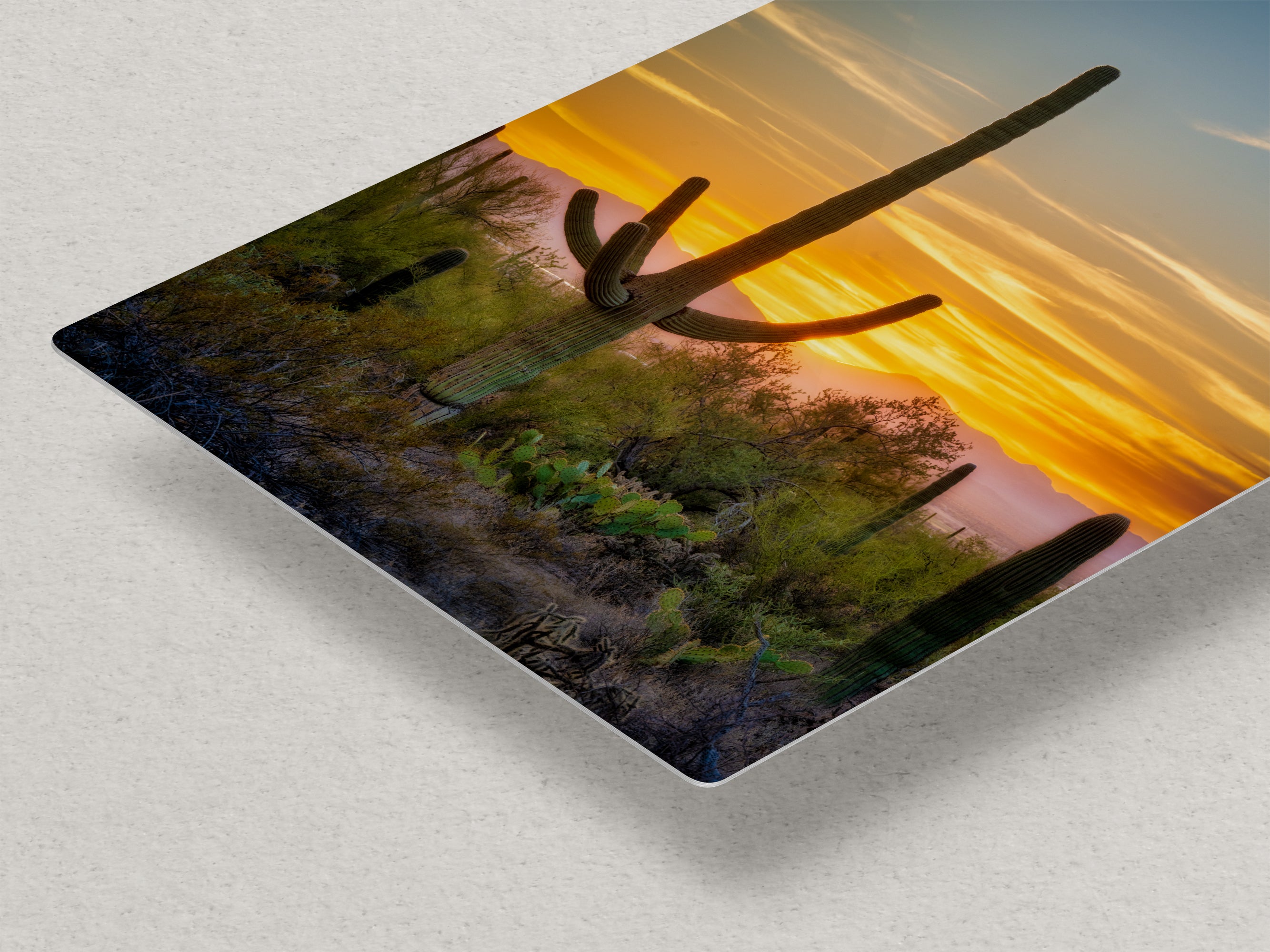 Saguaro National Park Arizona Desert Picture Nature Photo, Bohemian Style Relaxation Artwork, Southwestern Sonoran Desert House Decor