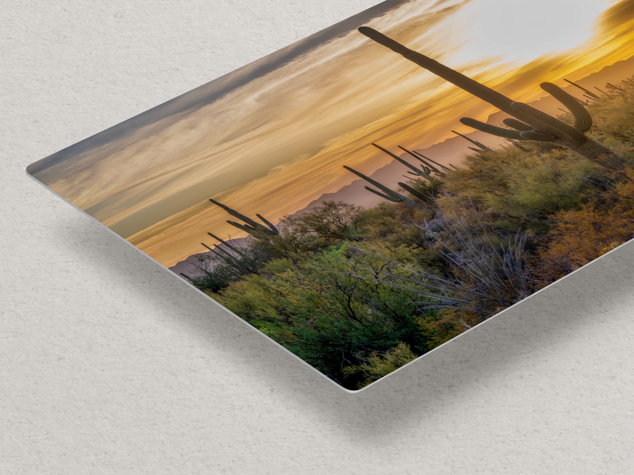 Saguaro National Park Arizona Desert Picture Sunset Nature Photo, Bohemian Style Relaxation Artwork, Southwestern Sonoran Desert House Decor