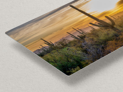 Saguaro National Park Arizona Desert Picture Sunset Nature Photo, Bohemian Style Relaxation Artwork, Southwestern Sonoran Desert House Decor