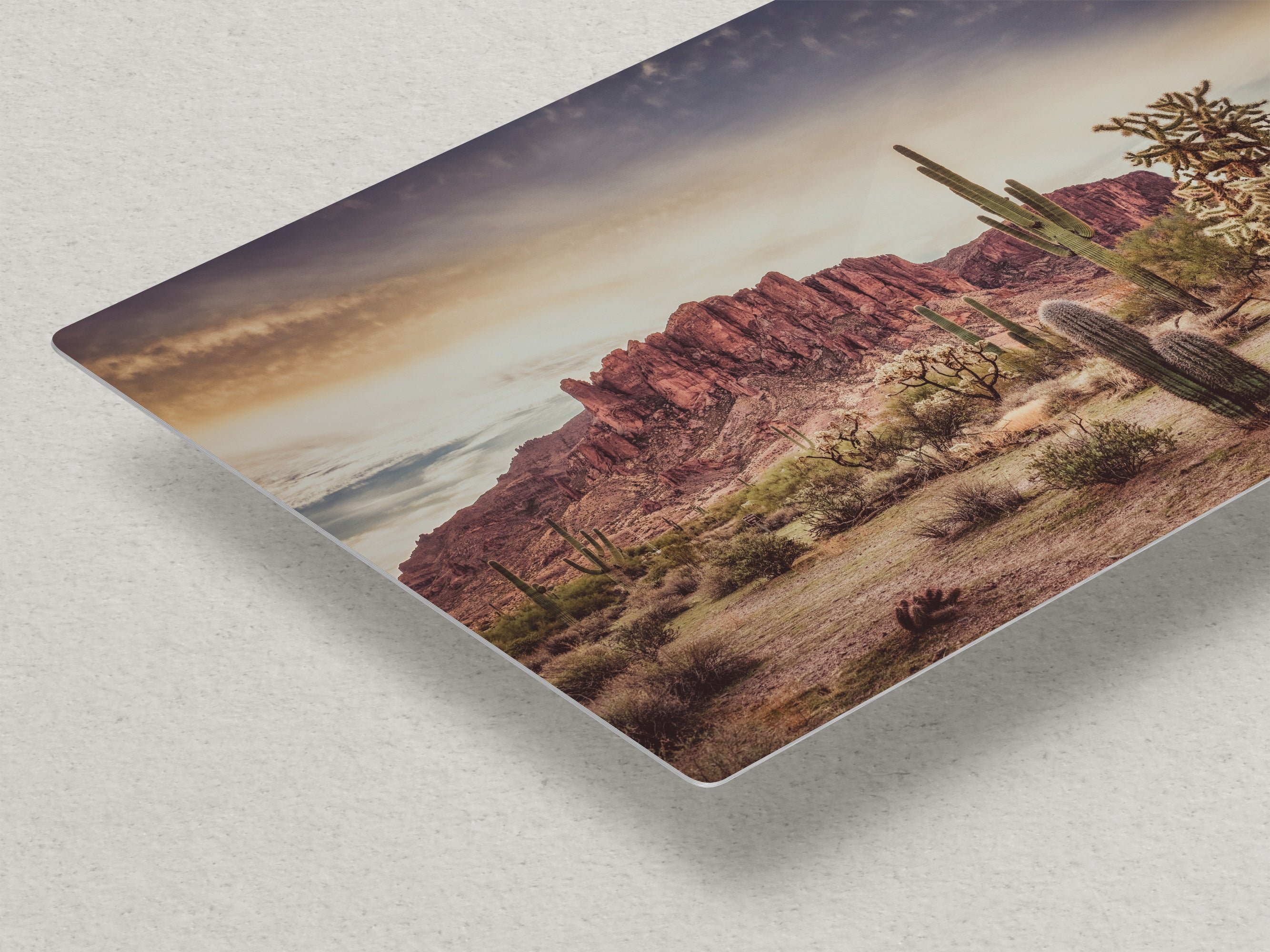 Arizona Desert Picture, Vintage Saguaro Cactus Artwork Nature Photo, Southwestern Wall Art of Superstition Mountains at Lost Dutchman State Park
