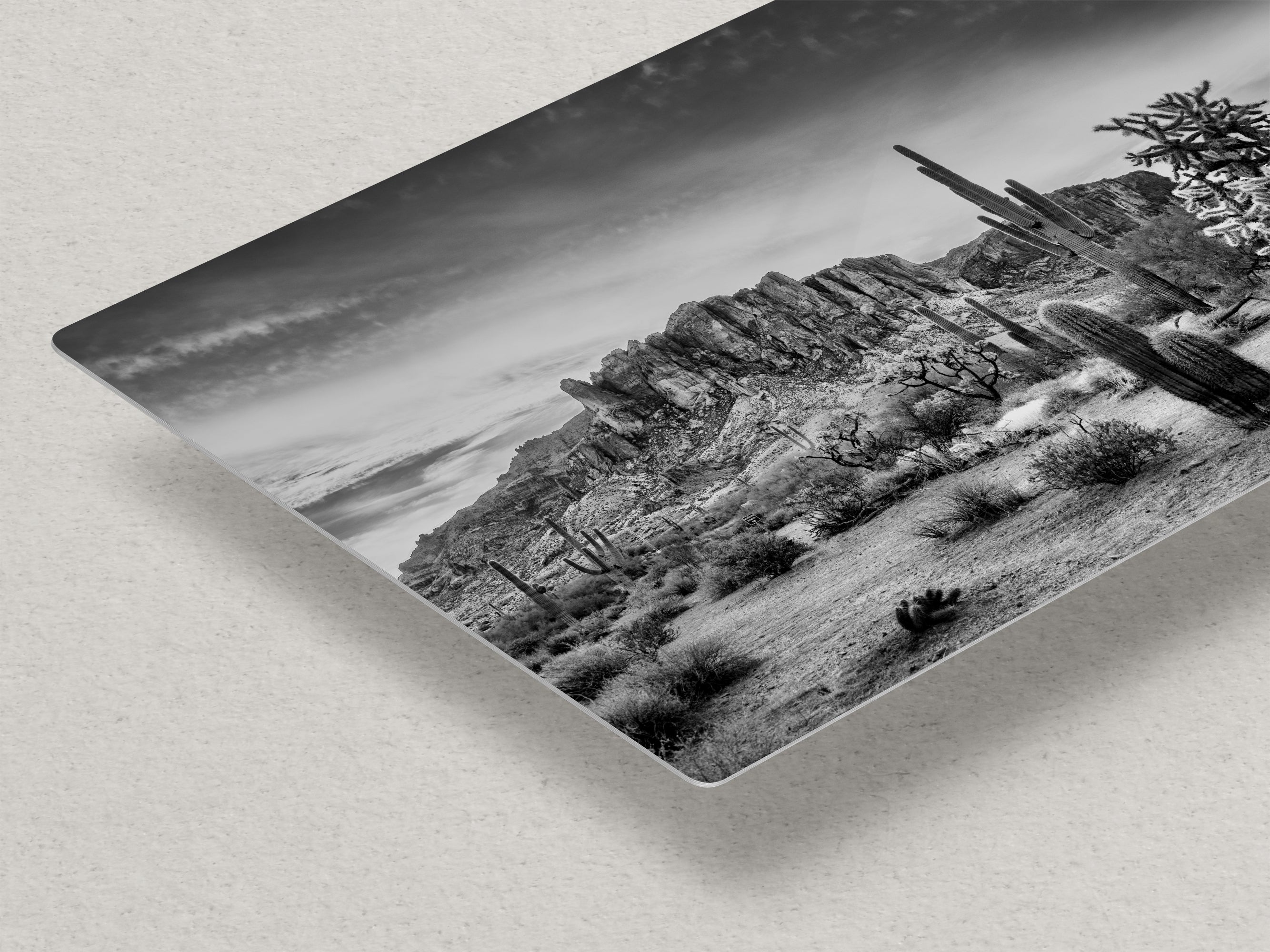 Arizona Desert Picture in Black and White, Saguaro Cactus Artwork Nature Photo, Southwestern Wall Art of Superstition Mountains at Lost Dutchman State Park