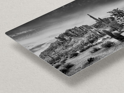 Arizona Desert Picture in Black and White, Saguaro Cactus Artwork Nature Photo, Southwestern Wall Art of Superstition Mountains at Lost Dutchman State Park