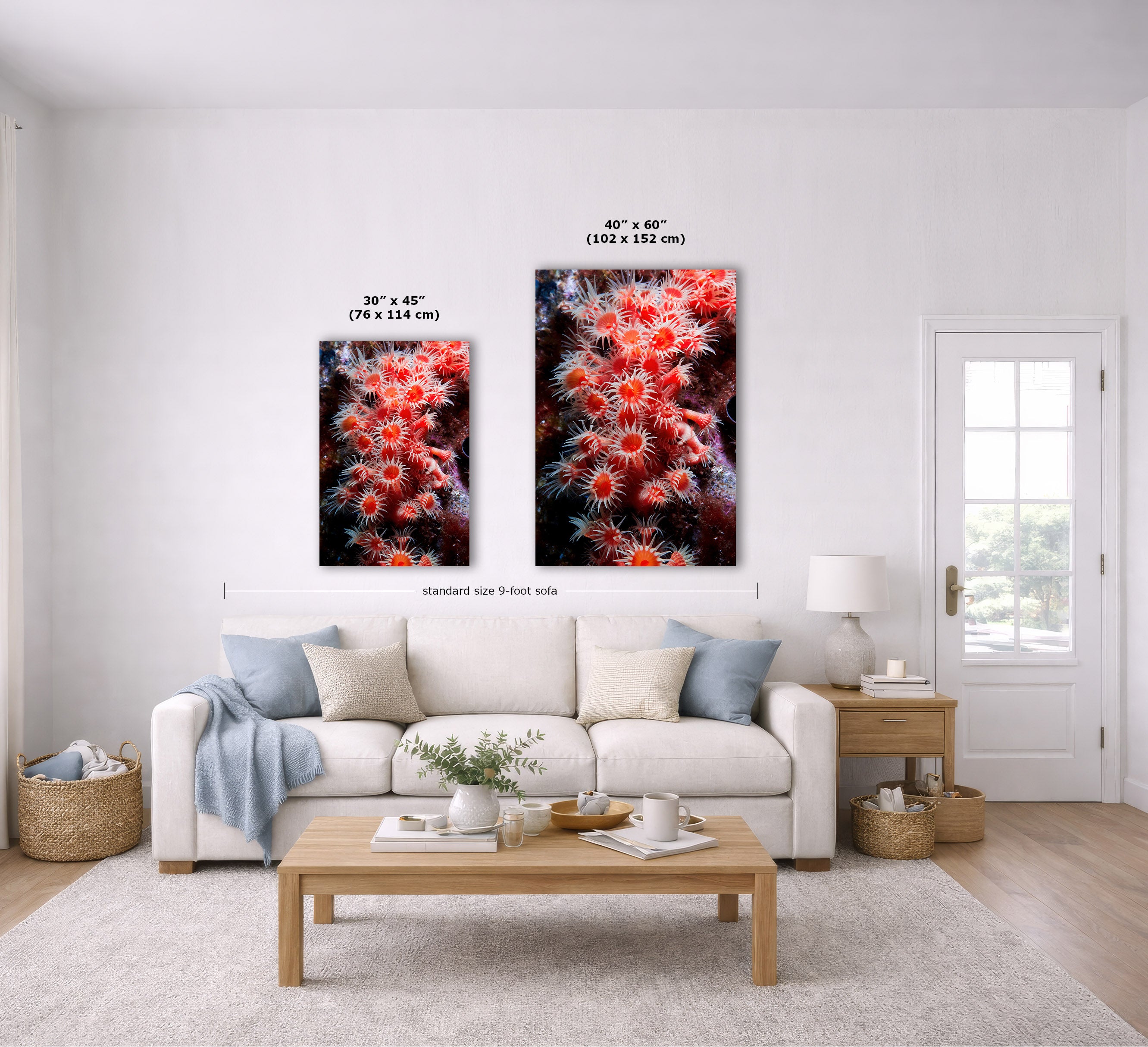 Two vertical wall art prints showing red and orange sea anemones are displayed above a white sofa in a bright living room. Black dimension lines and text indicate the sizes of both prints: 30 x 45 inches (76 x 114 cm) and 40 x 60 inches (102 x 152 cm).