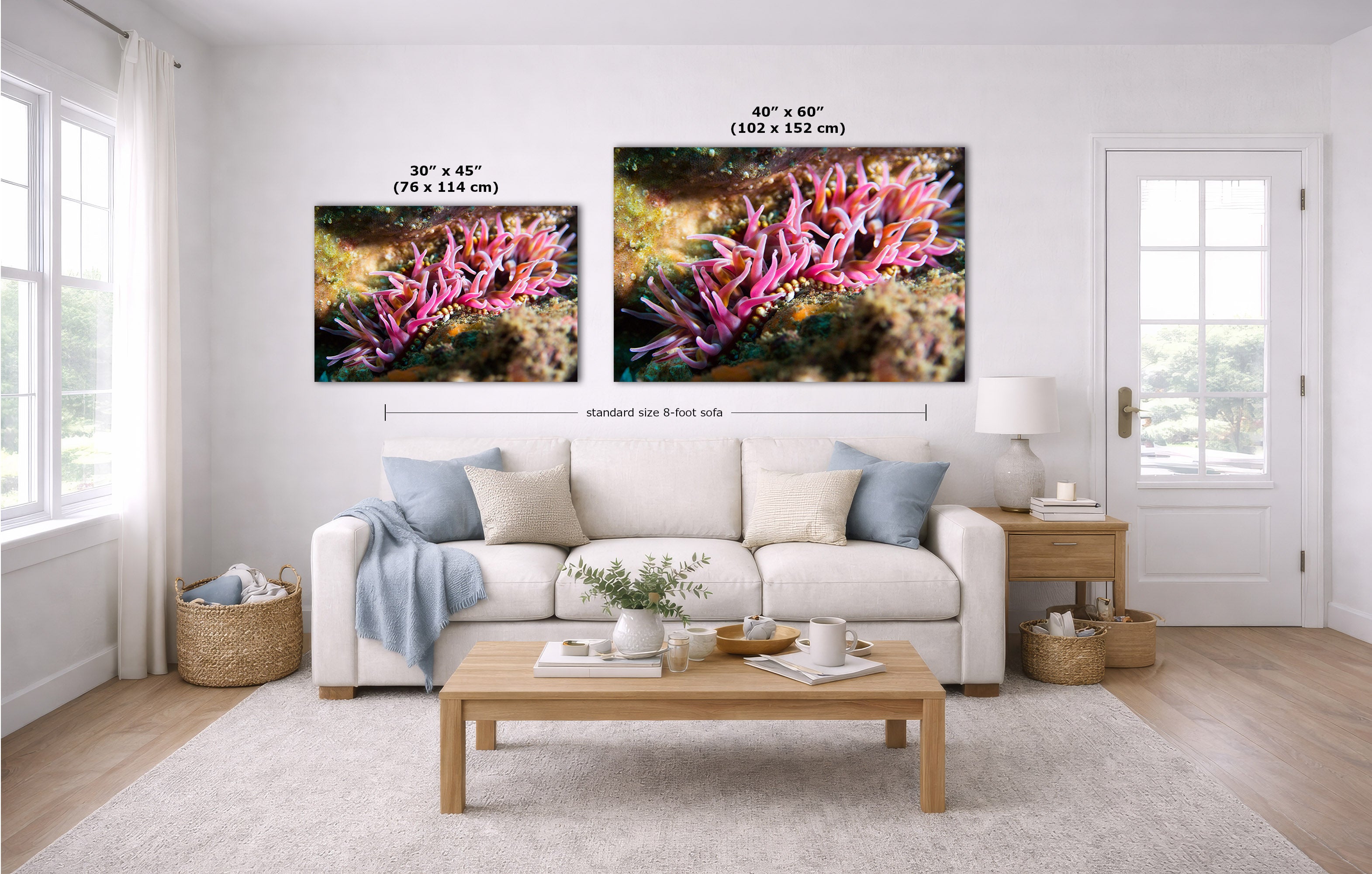 A staged living room with a white sofa, coffee table, and two framed coral reef wall art prints above the couch. White dimension lines and text indicate the sizes of the prints: 30 x 45 inches on the left and 40 x 60 inches on the right.