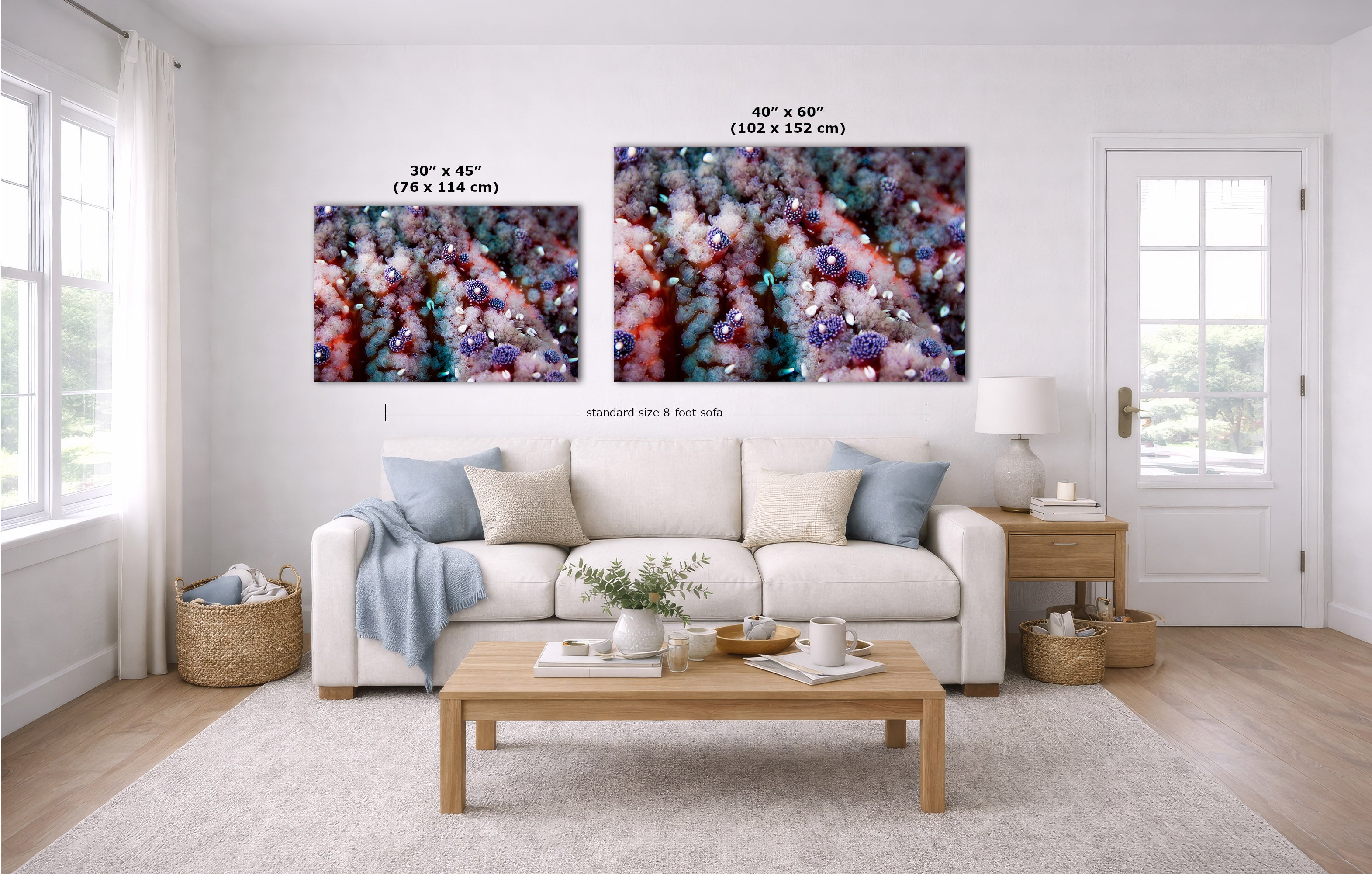 A staged living room with a white sofa, coffee table, and two abstract wall art prints above the couch. The prints show colorful close-up textures, with size callouts reading 30 x 45 inches and 40 x 60 inches.
