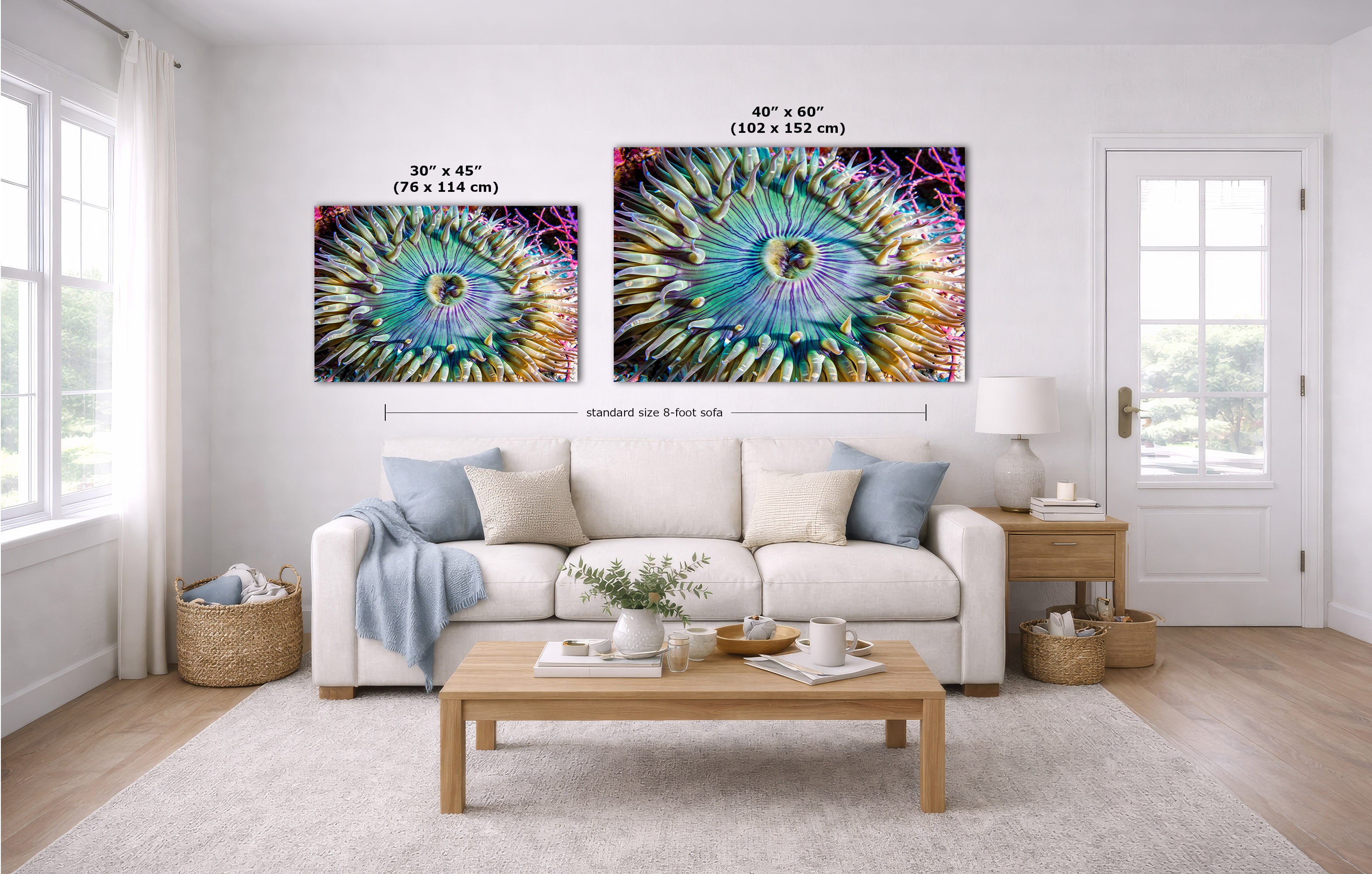 Two wall art prints with colorful spiral anemone designs are shown in a bright living room above a white sofa. The left print is labeled 30 x 45 inches, and the larger right print is labeled 40 x 60 inches.