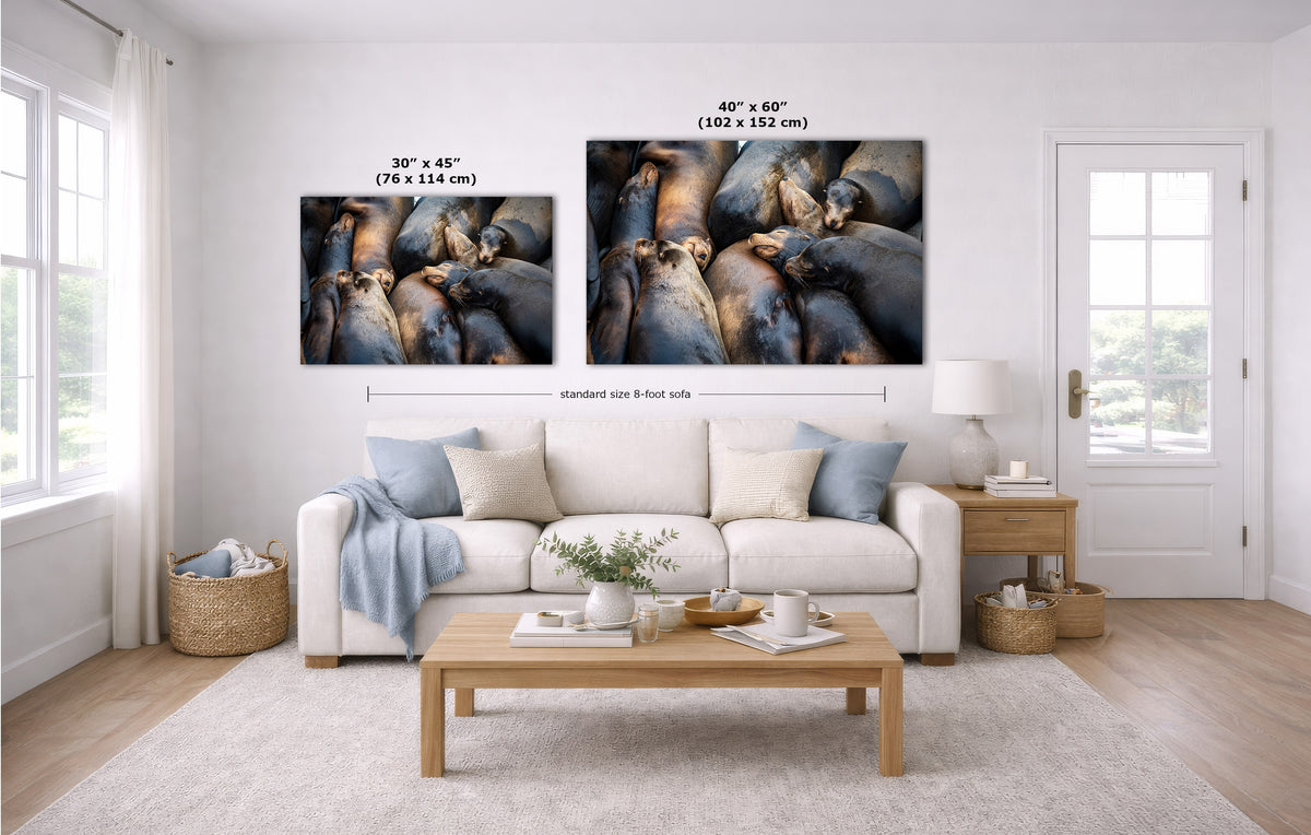 A staged living room with a white sofa, coffee table, and wall art showing two animal photographs with size labels above them. The room is bright and neutral, and the product appears to be the wall art/canvas prints rather than the furniture.