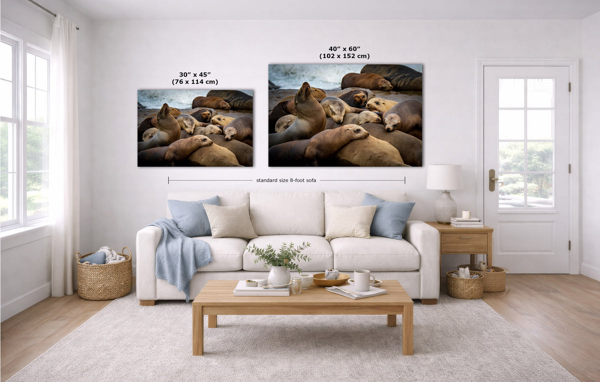 A staged living room with a white sofa, coffee table, and wall art showing two framed marine animal prints above the couch. The prints include a smaller 30 x 45-inch version and a larger 40 x 60-inch version, with dimension lines indicating standard size options.