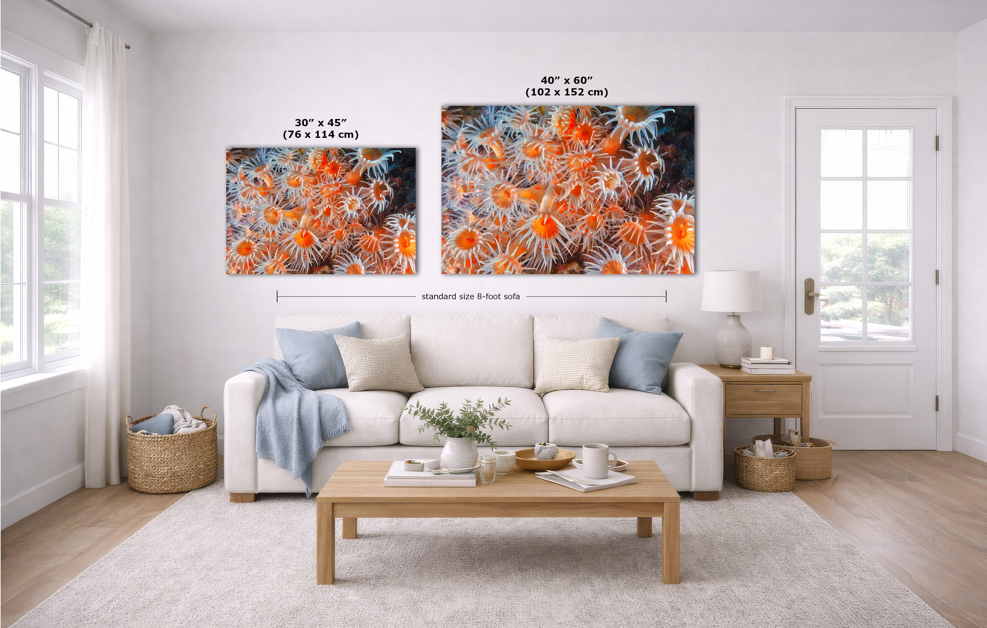 Two wall art prints with orange and blue coral-like abstract designs hang above a white sofa in a bright living room. Measurement labels and a dimension line indicate the sizes of the two prints.