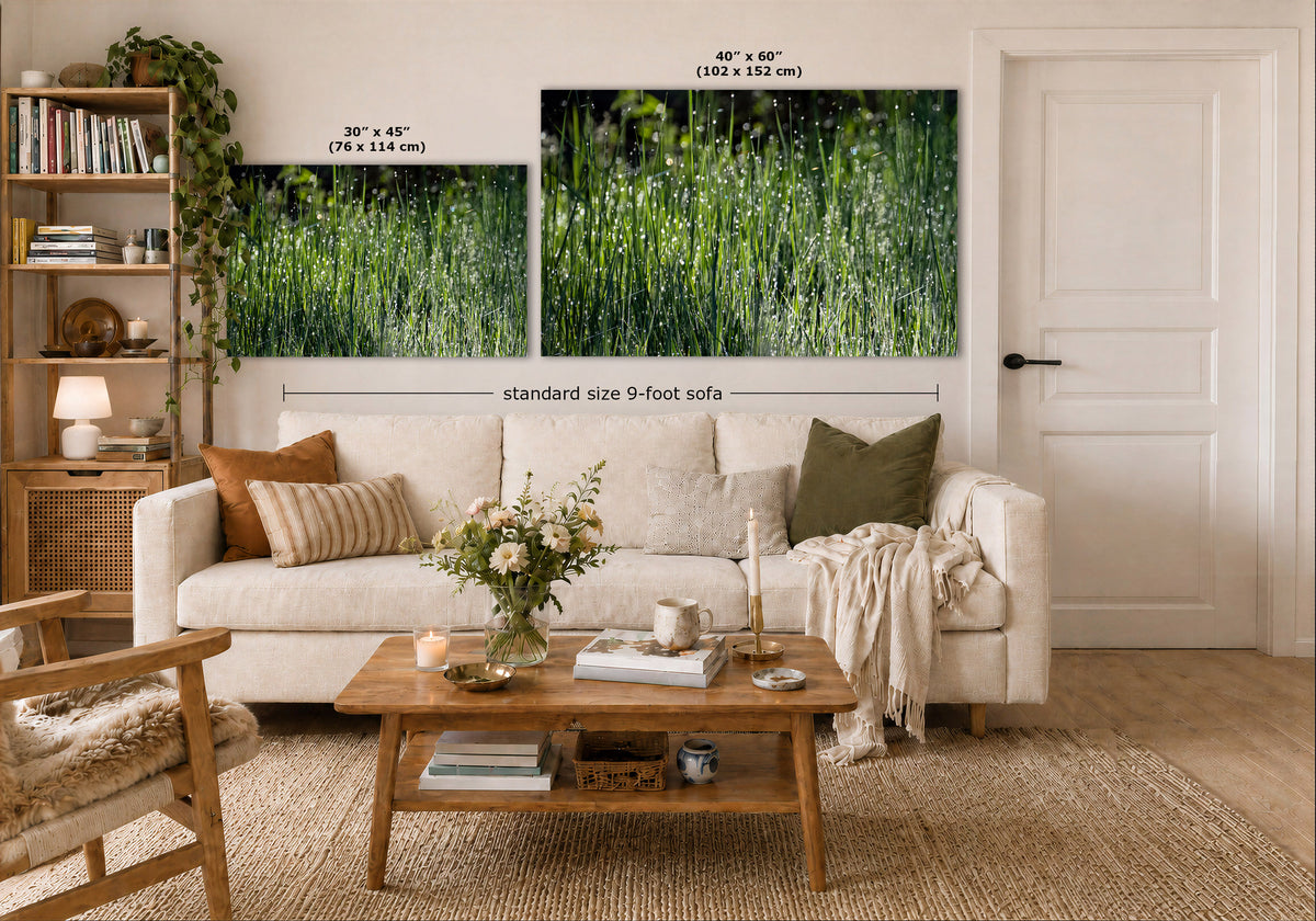 A styled living room showing two large vertical wall art prints above a white sofa. The prints depict a green grassy field with size labels: 30 x 45 inches on the left and 40 x 60 inches on the right, plus a note reading standard size 9-foot sofa.
