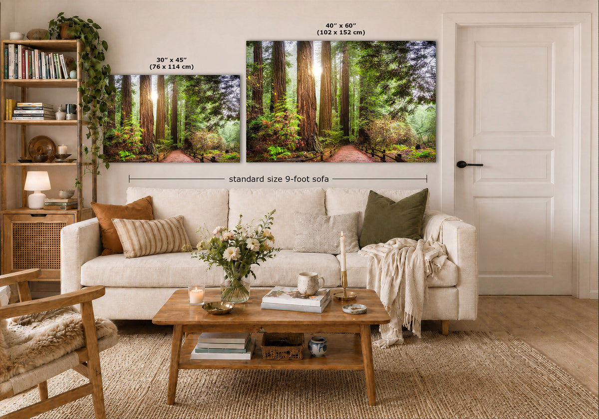 A styled living room showing two forest landscape wall art prints above a white sofa, with size labels indicating 30 x 45 inches and 48 x 60 inches. The room includes a wooden coffee table, shelving, pillows, and a white door.