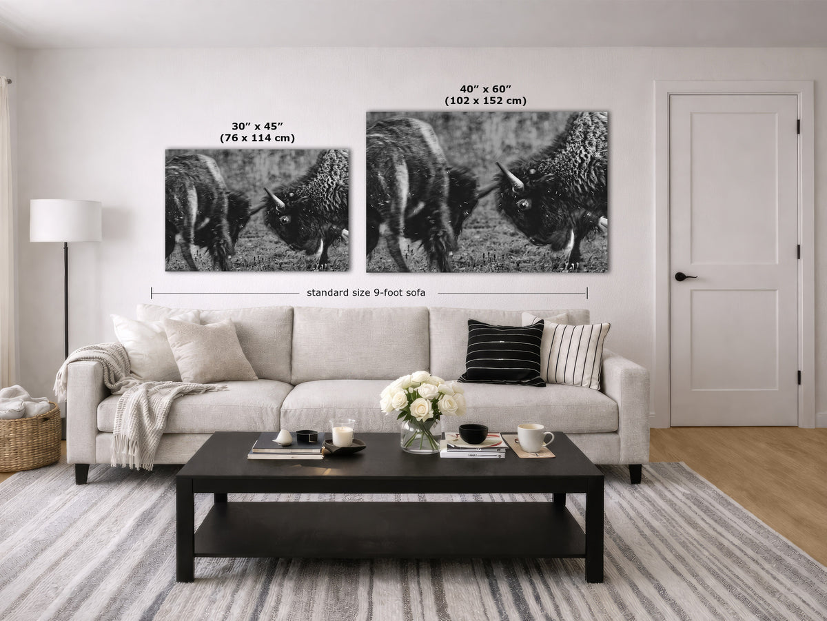 A staged living room showing two black-and-white buffalo wall art prints above a light sofa, with dimension labels indicating 30 x 45 inches and 40 x 60 inches. The room includes a coffee table, lamp, door, and rug.