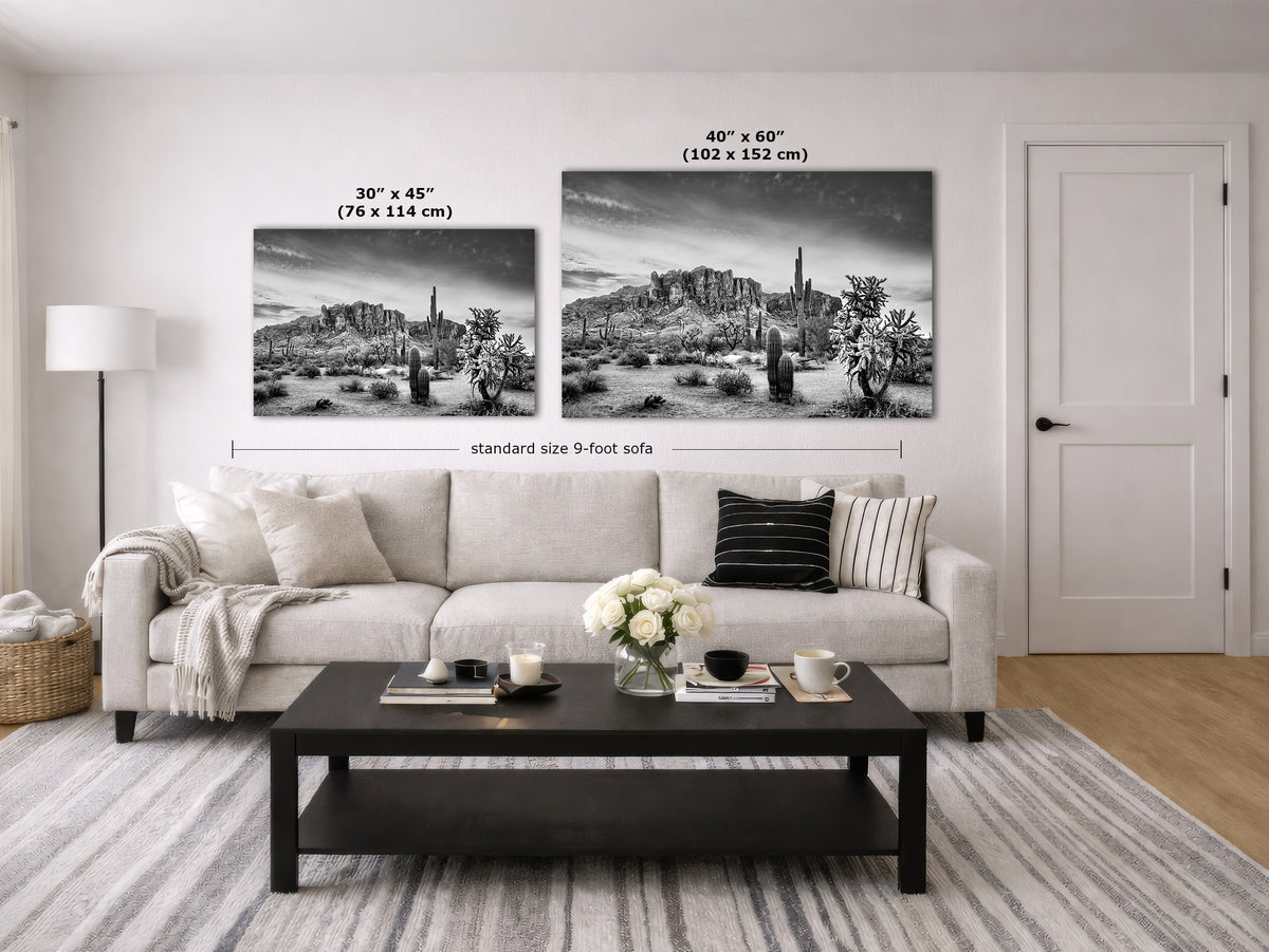 A staged living room showing two black-and-white landscape wall art prints above a light sofa. The prints include size labels: 30 x 45 inches (76 x 114 cm) and 40 x 60 inches (102 x 152 cm), with a dimension line reading standard size 9-foot sofa.