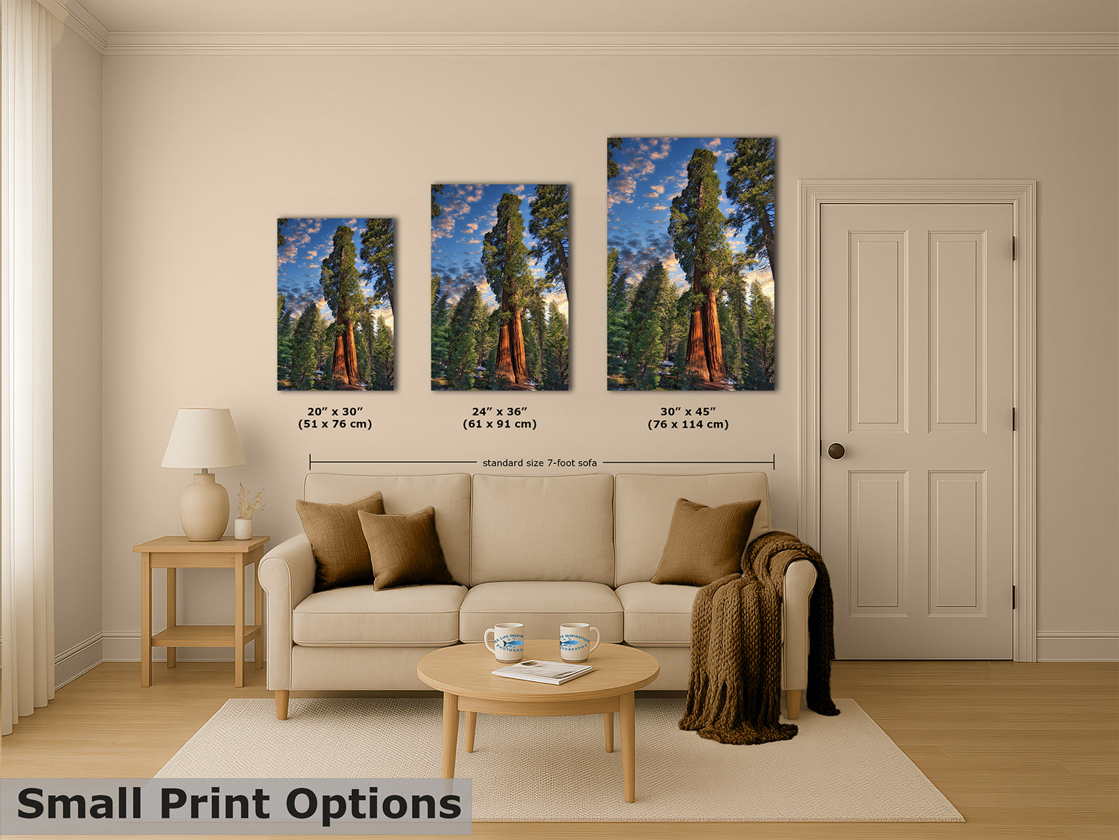 Three vertical canvas prints showing tall Giant Sequoia trees under a blue sky, displayed above a beige sofa in a styled living room. Text below the canvases indicates dimensions, and a banner at the bottom reads 'Small Print Options'.