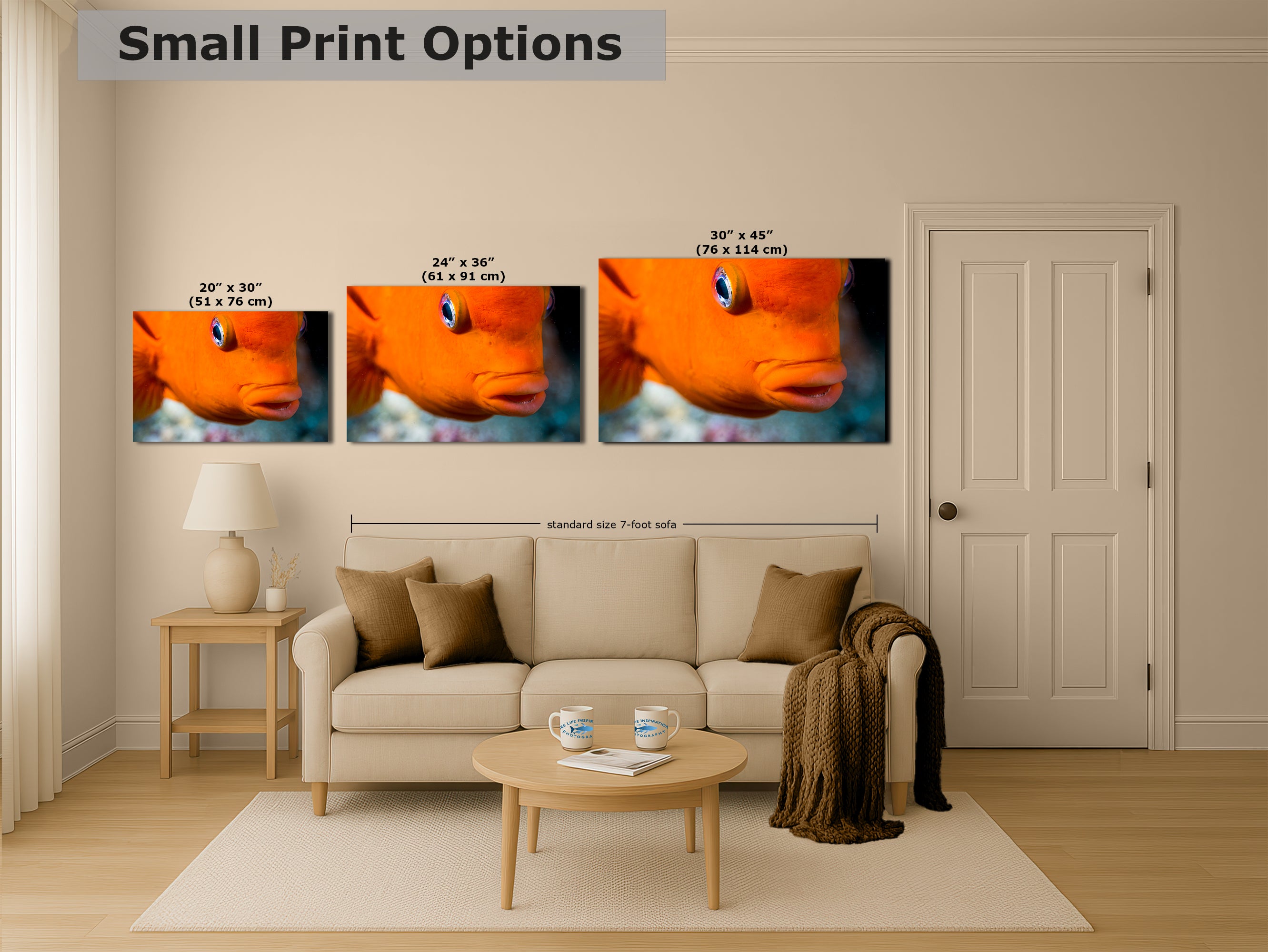 Garibaldi Fish Marine Biology Ocean Life, Underwater Scenery Nature Photo, California Marine Inhabitant, Nature Decor, Relaxation Artwork