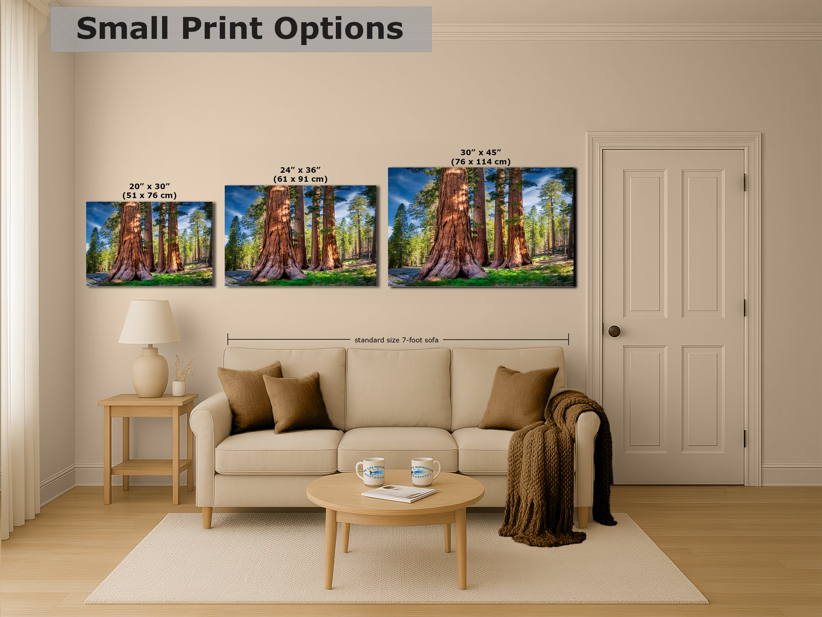 Giant Sequoia Tree Forest Picture Nature Photo, Redwood Trees Forest Bathing for Relaxation and Meditation in Living Room and Office