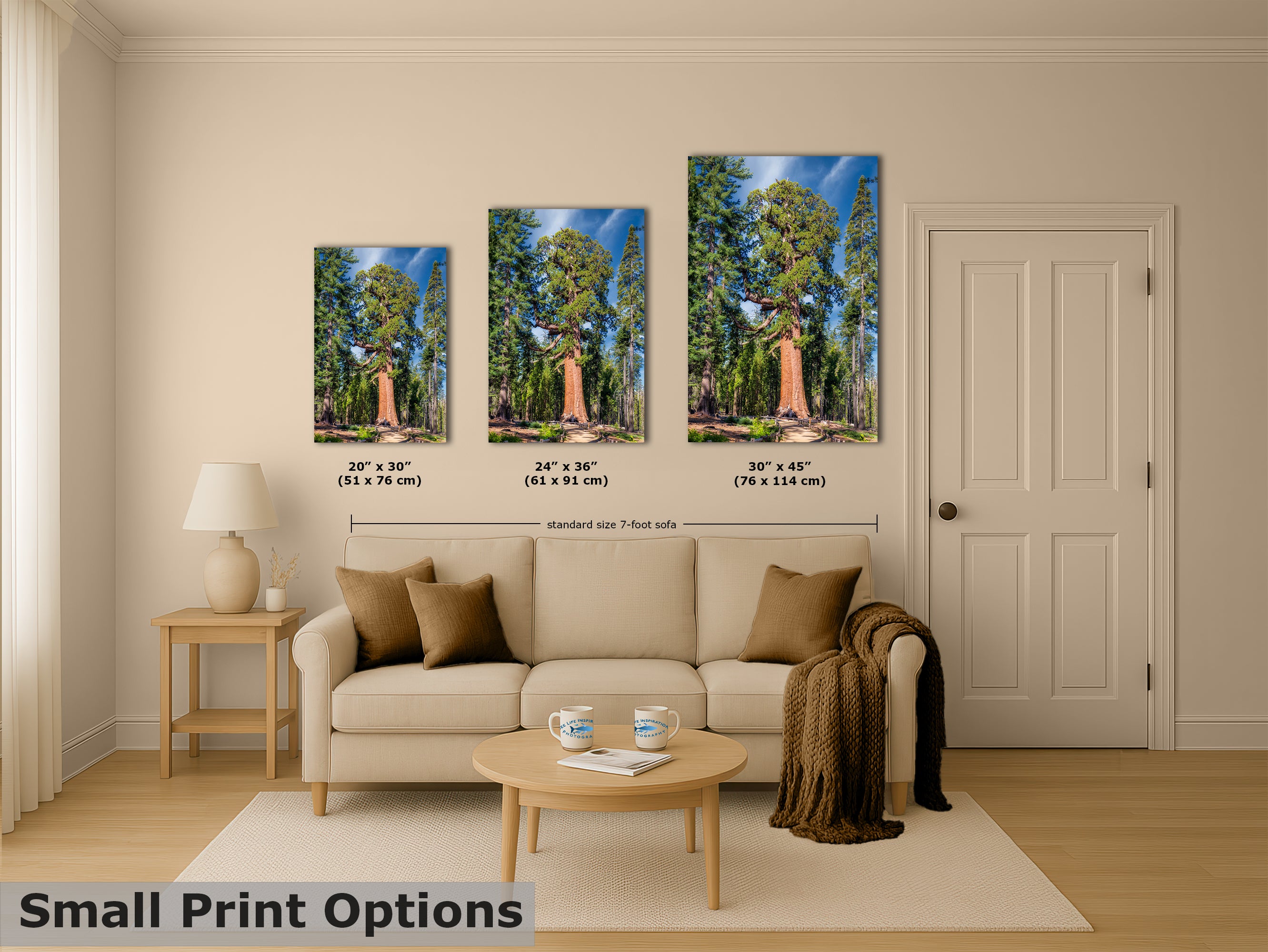 Giant Sequoia Tree Forest Picture Nature Photo, Yosemite Redwood Trees, Forest Bathing for Nature Lovers, House and Office