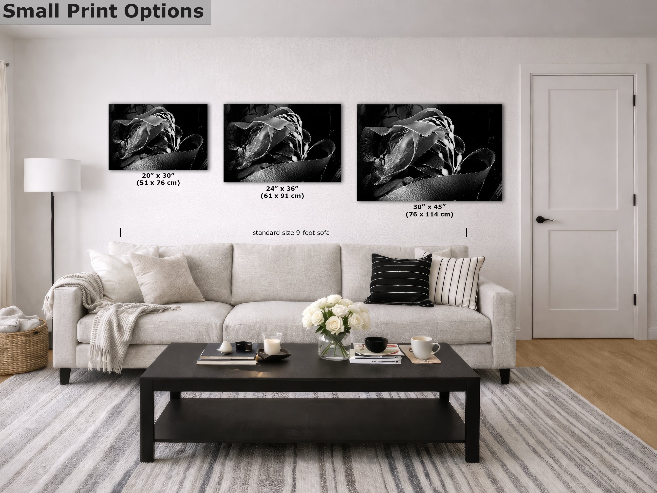 Limited Edition Fine Art Photography, California Giant Kelp Ocean Life, Presence