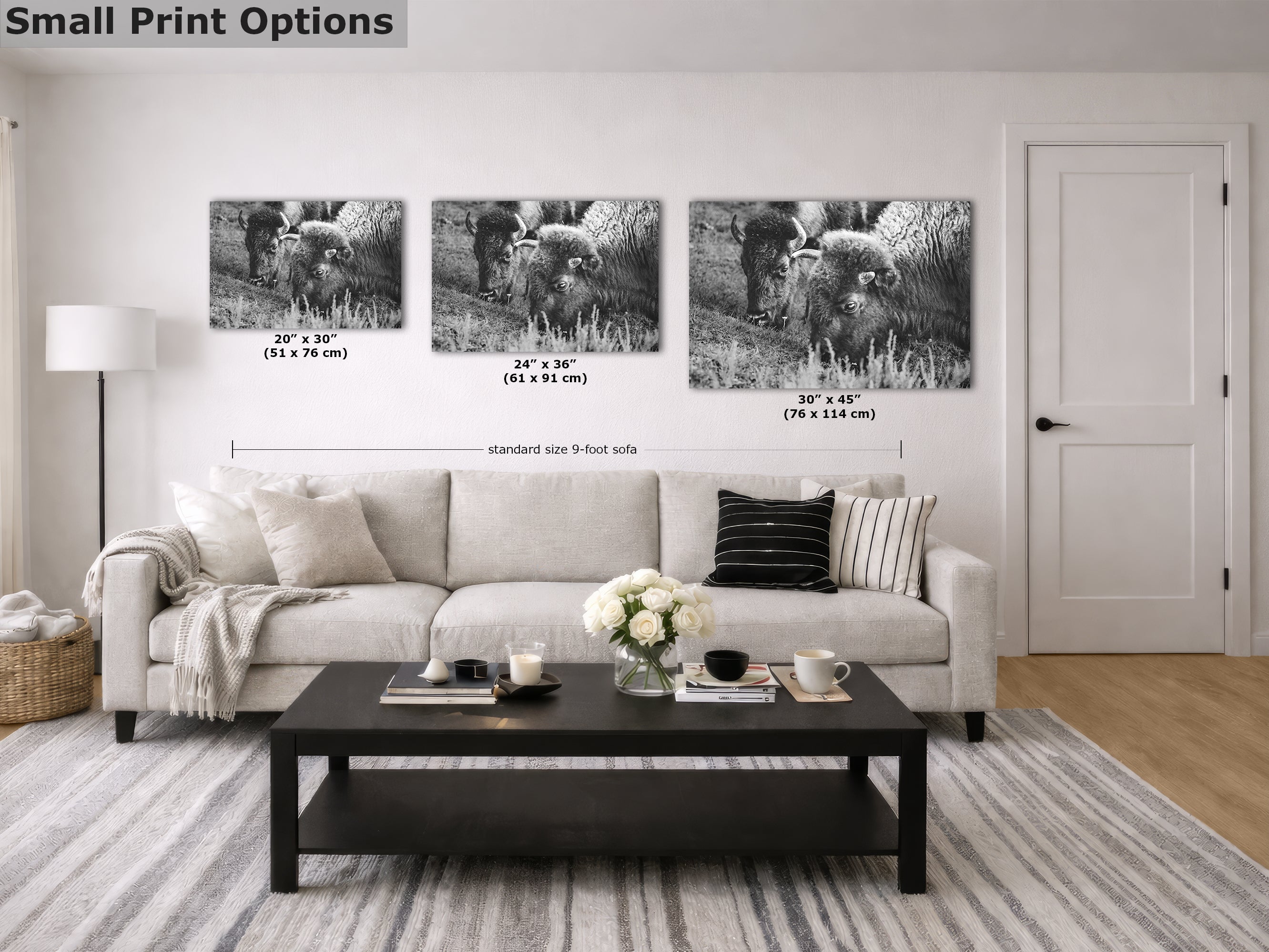 Grazing Buffalo Artwork Wildlife Photography, Black and White Bison Wall Decor, Rustic Cabin Animal Print, Nature Wall Art for Home or Office