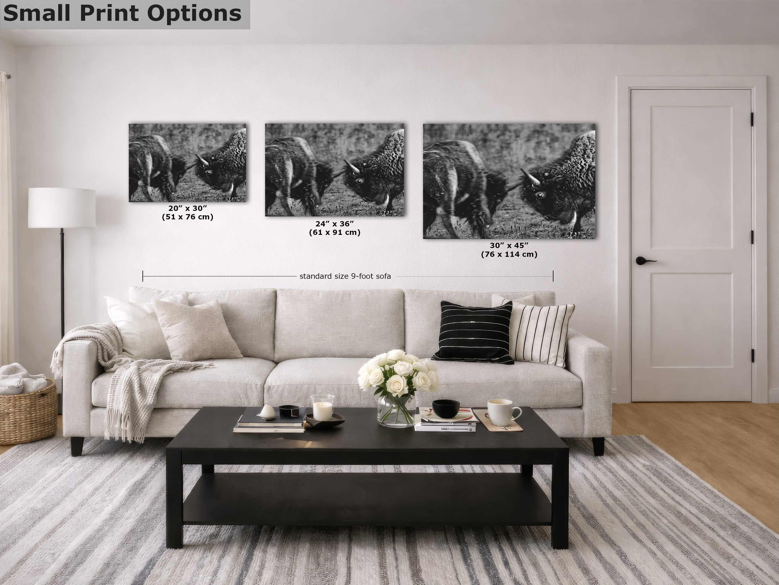 Buffalo Artwork Wildlife Photography, Black and White Bison Wall Decor, Rustic Cabin Animal Print, Nature Wall Art for Home or Office