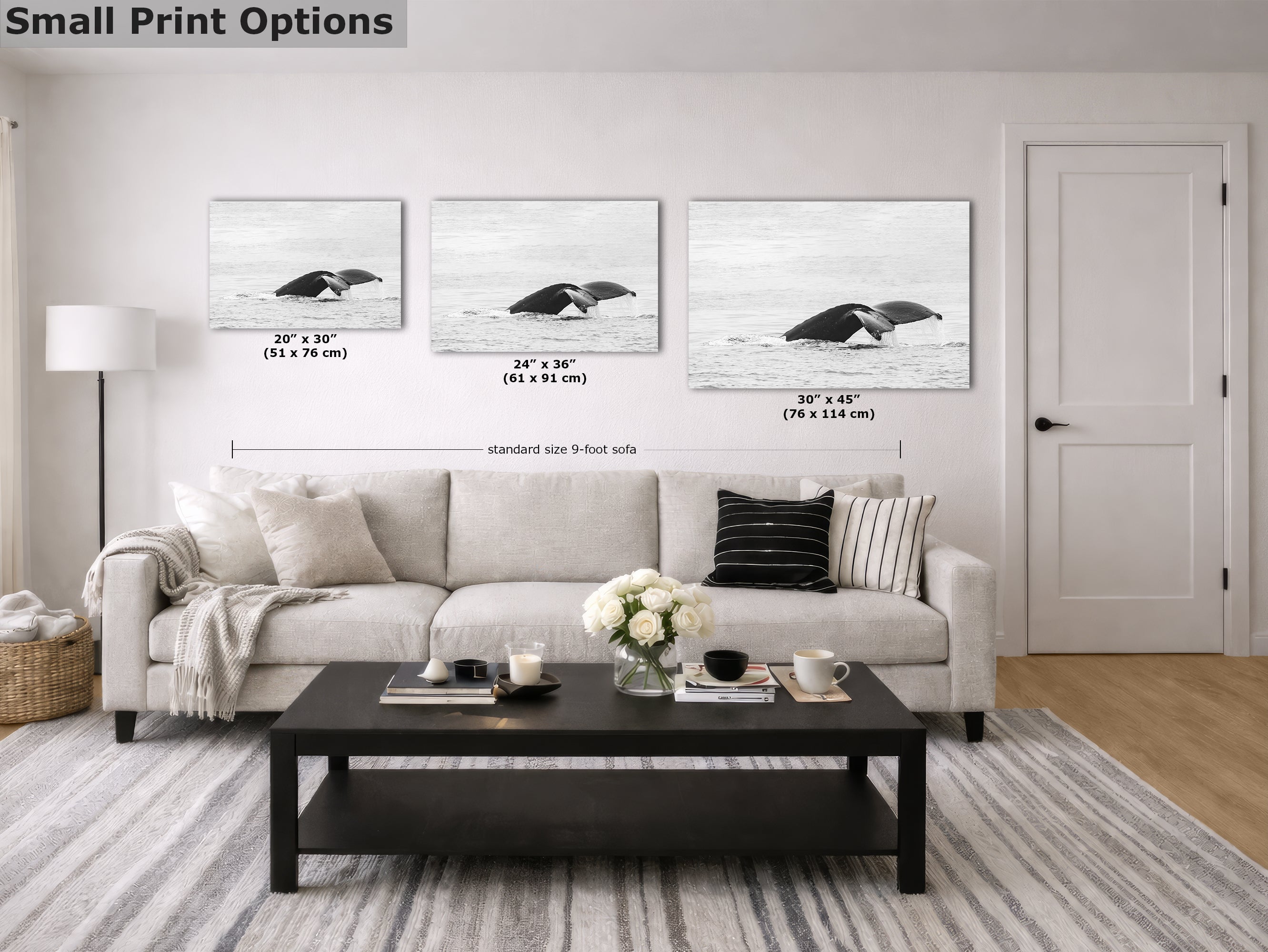 Humpback Whale Marine Mammal Wildlife Photography, Black and White, Monterey Bay Ocean Scene Art Print for Nature Lovers and Marine Conservation Decor