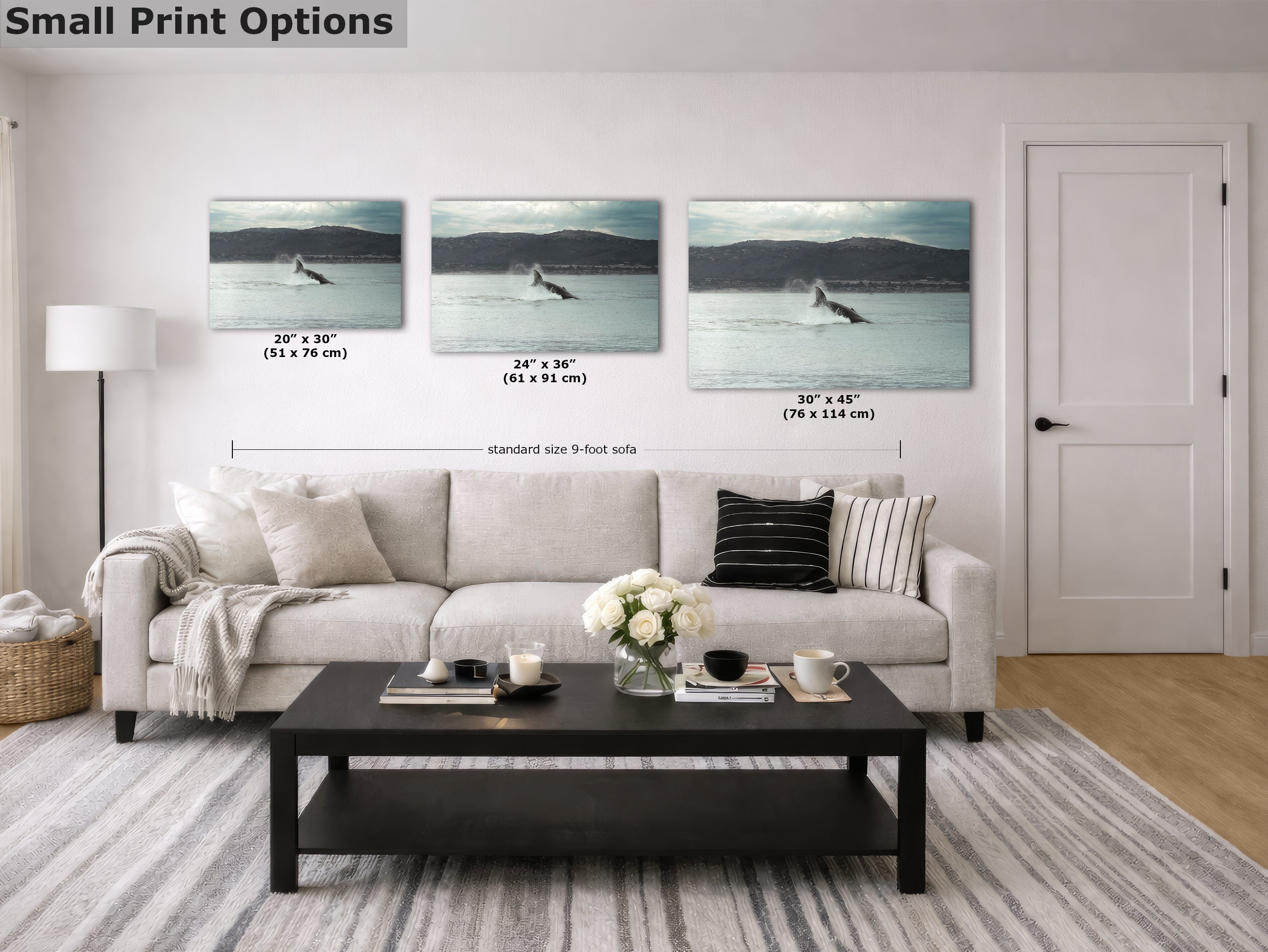 Humpback Whale Marine Mammal Wildlife Photography, Ocean Nature Art, Marine Conservation, Dolphin & Sea Life Gift, House Decor