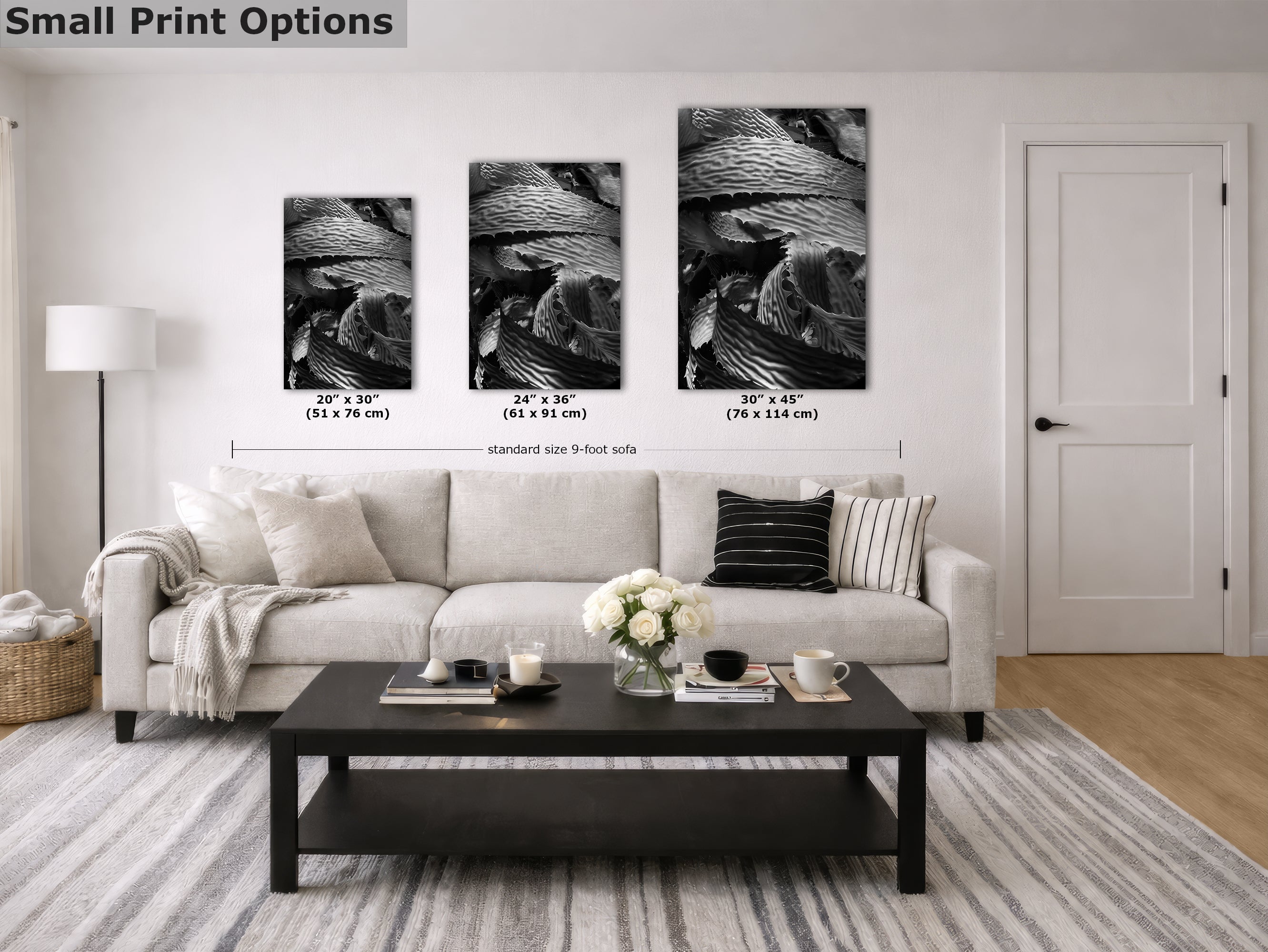 Limited Edition Fine Art Photography, California Giant Kelp Underwater Art, Patience