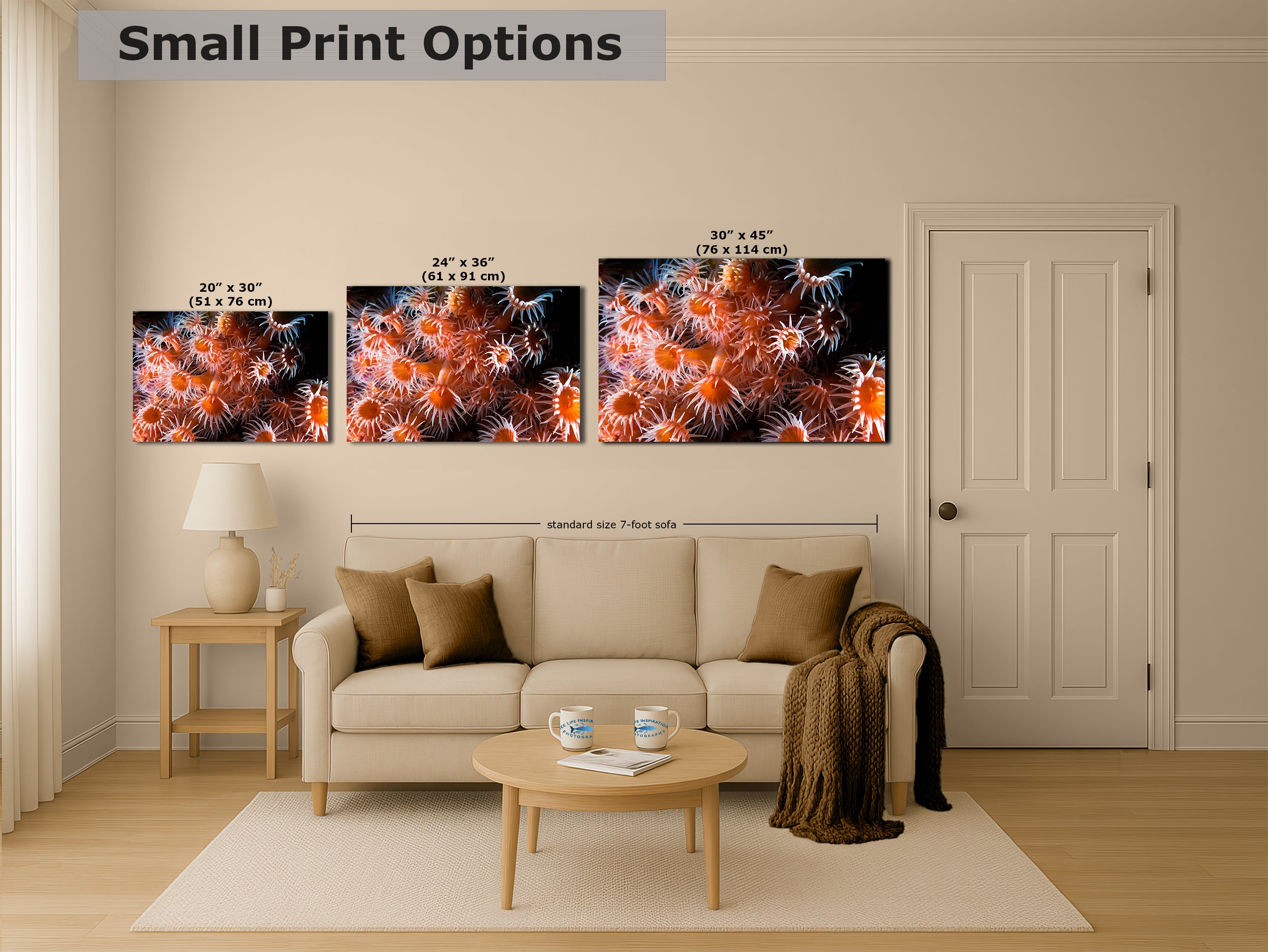Sea Anemone Picture Ocean Life Underwater Scenery Nature Photo, Marine Biology Wall Art, Vibrant Orange Zoanthid Coral Reef, Ocean Decor