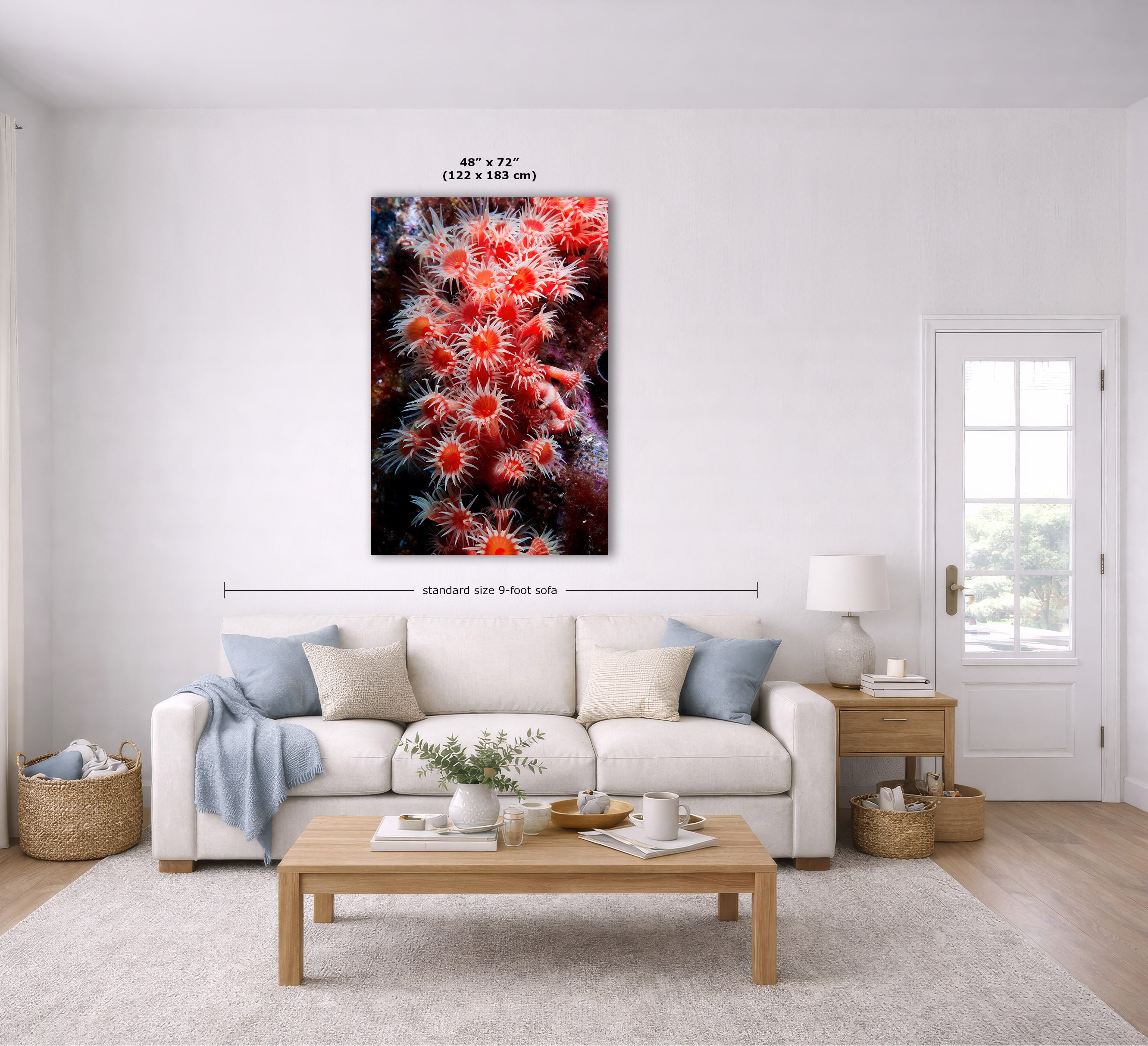 A vertical canvas wall art print depicting a close-up of bright red and orange sea anemones, displayed in a modern living room mockup above a white sofa with dimension lines indicating its size.