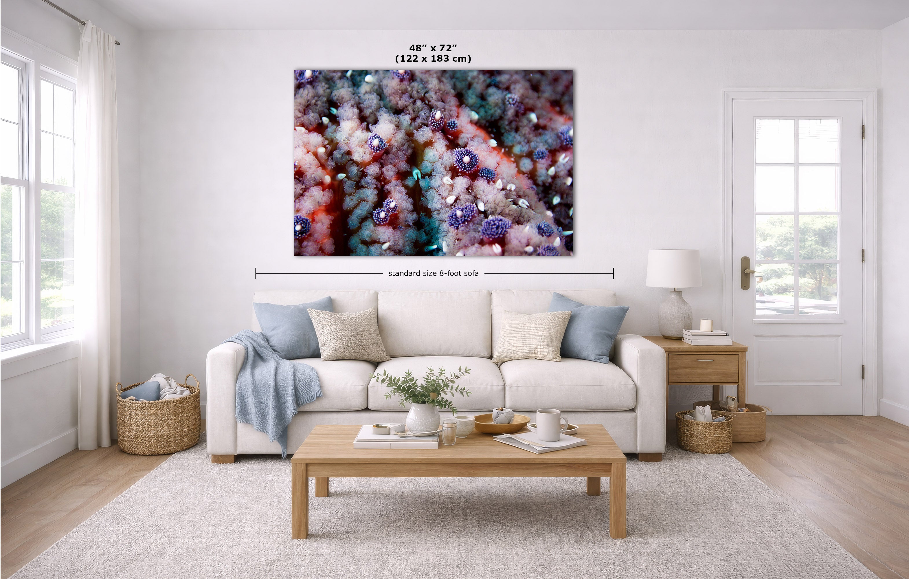 A large wall art print with an abstract sea star in pink, purple, blue, and white tones, shown hanging above a white sofa in a bright living room. Measurement lines and text indicate the print size as 48 x 72 inches.