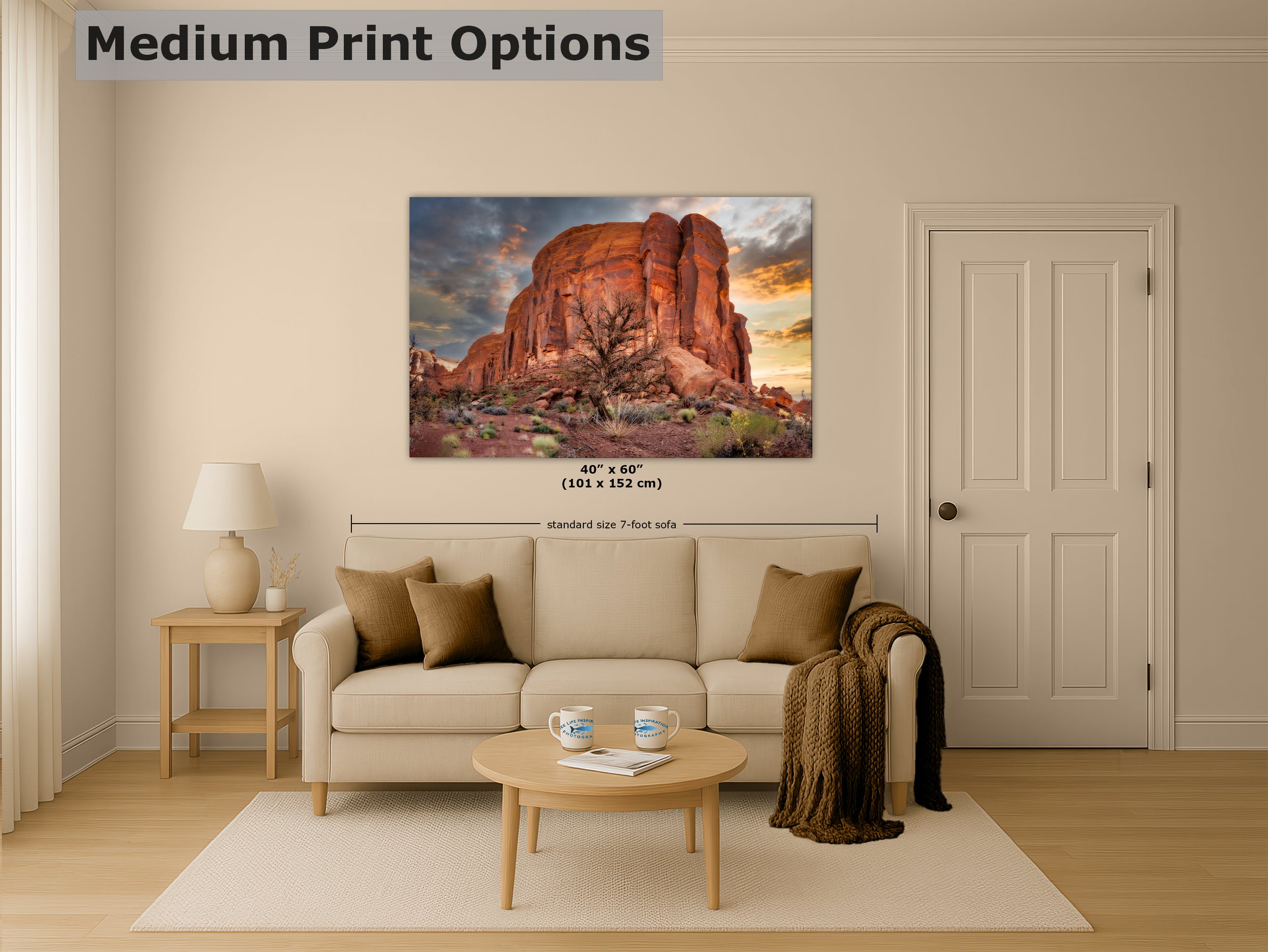 Monument Valley Arizona Desert Picture Cactus Nature Photo, Bohemian Style Relaxation Artwork for Meditation, Apartment, Office & House Decor