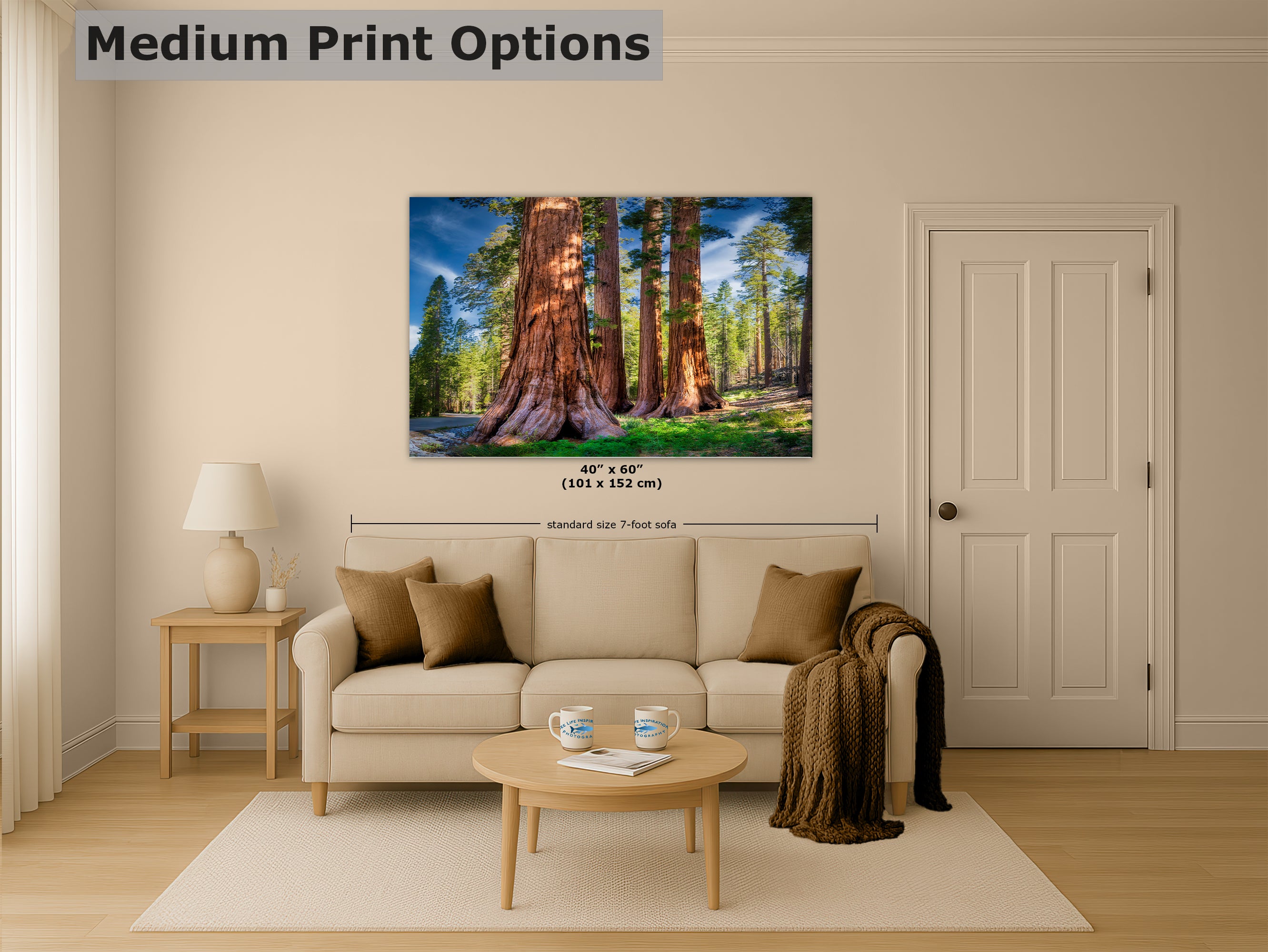 Giant Sequoia Tree Forest Picture Nature Photo, Redwood Trees Forest Bathing for Relaxation and Meditation in Living Room and Office