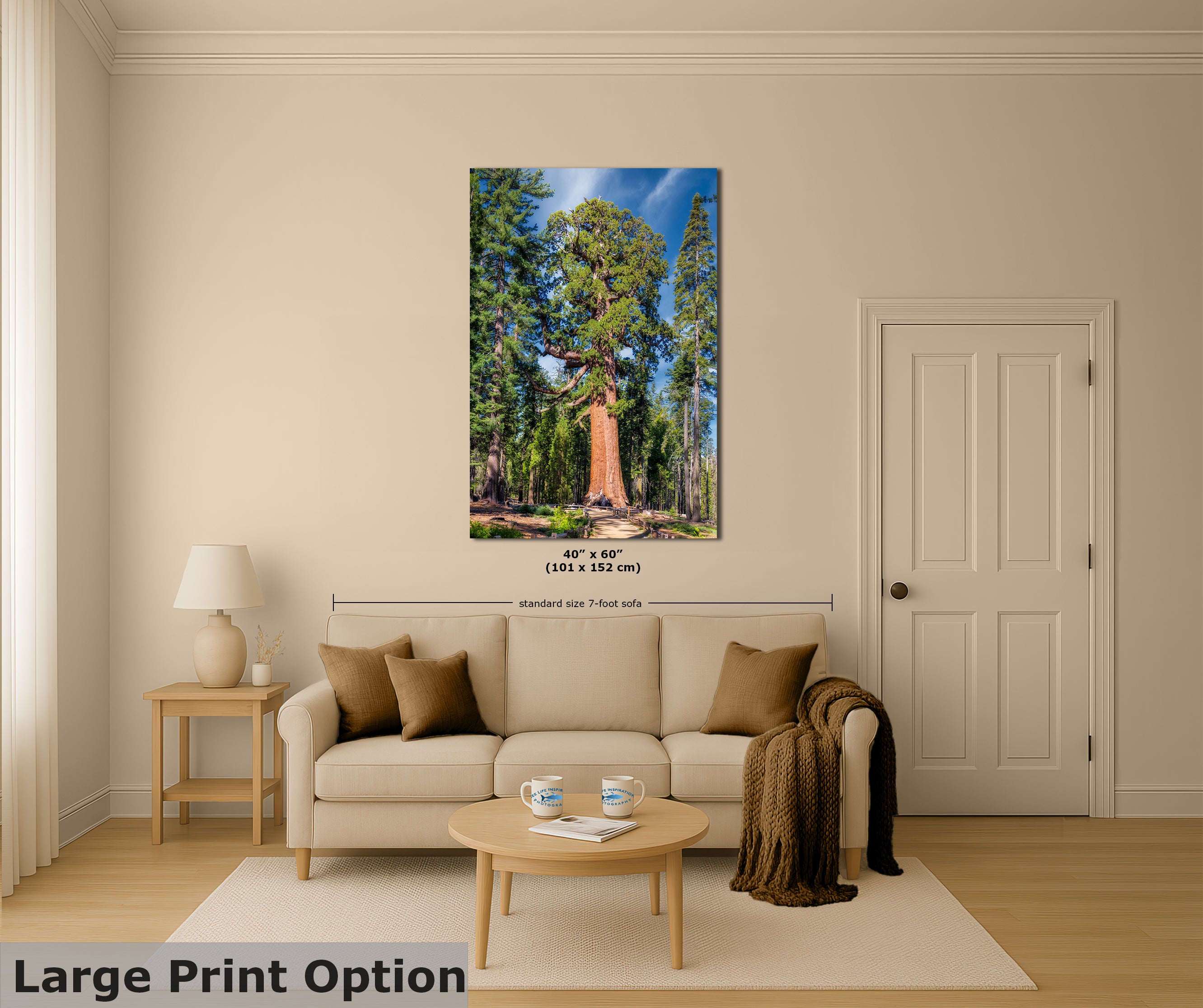 Giant Sequoia Tree Forest Picture Nature Photo, Yosemite Redwood Trees, Forest Bathing for Nature Lovers, House and Office