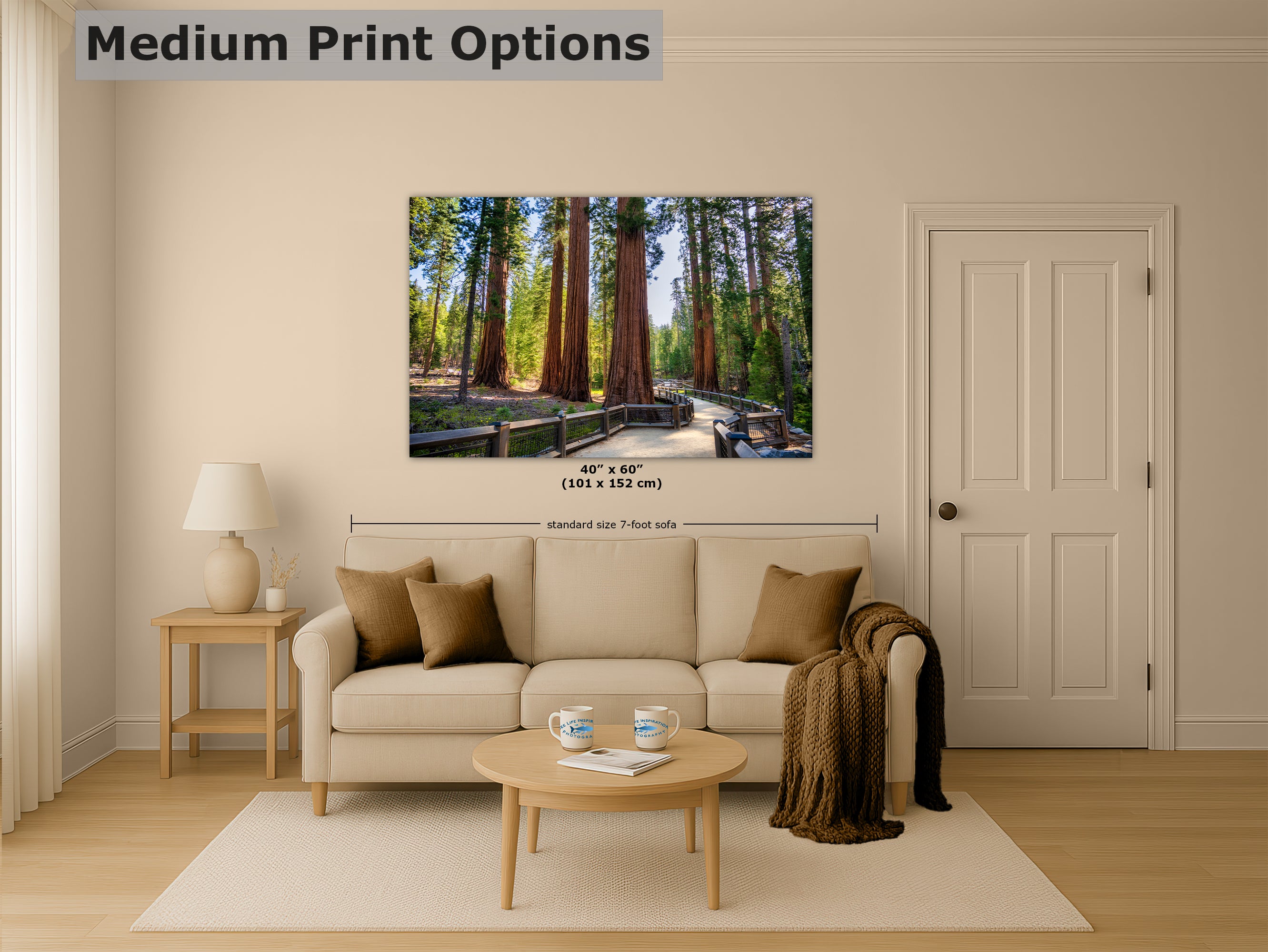 Giant Sequoia Tree Forest Picture Nature Photo | Yosemite Redwood Trees for Nature Lovers & Forest Bathing Relaxation, Meditation Artwork