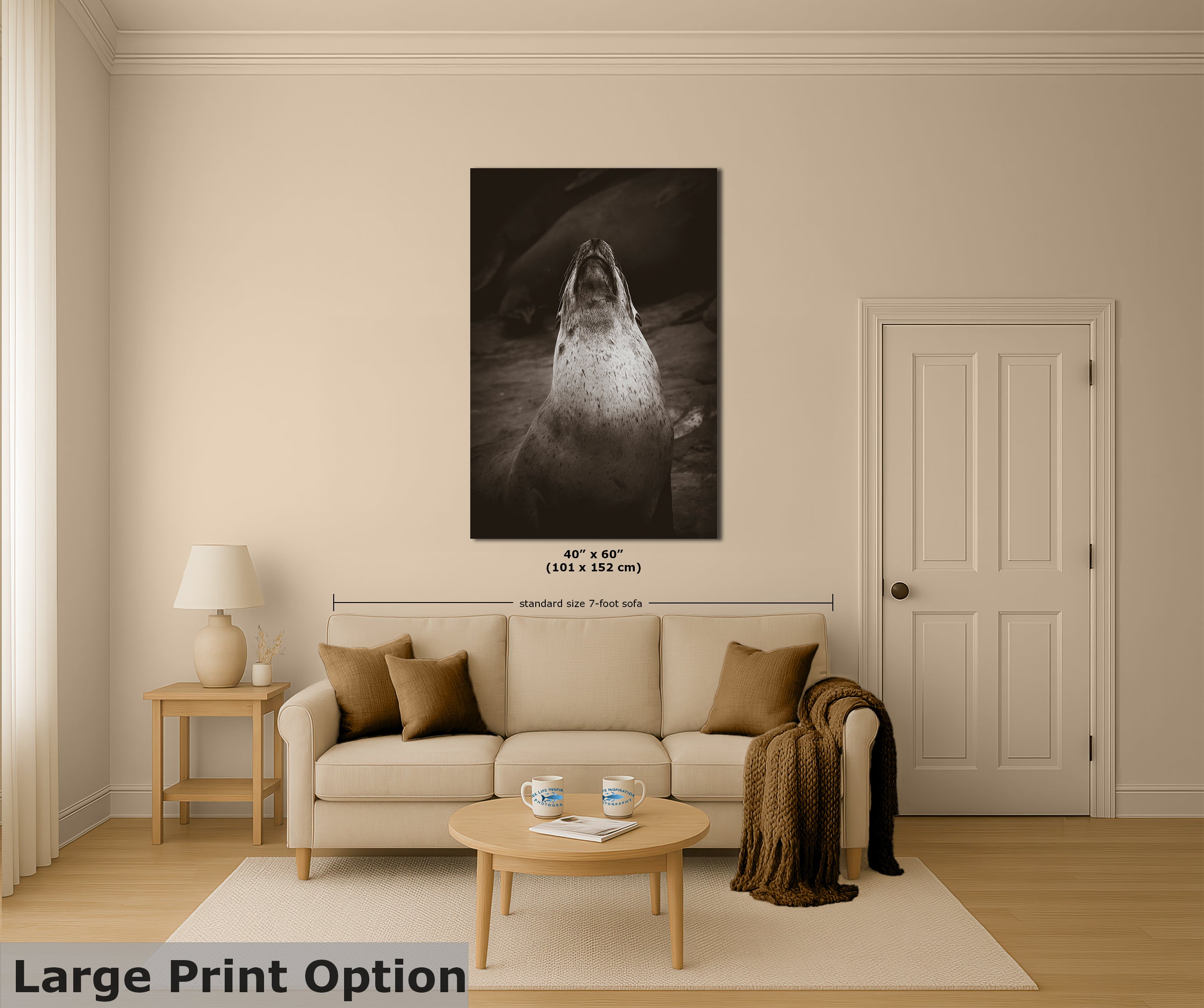 California Sea Lion Marine Mammal Wildlife Photography, Ocean Animals, Coastal House Decor, Nature Lover Gift, Marine Biology Artwork