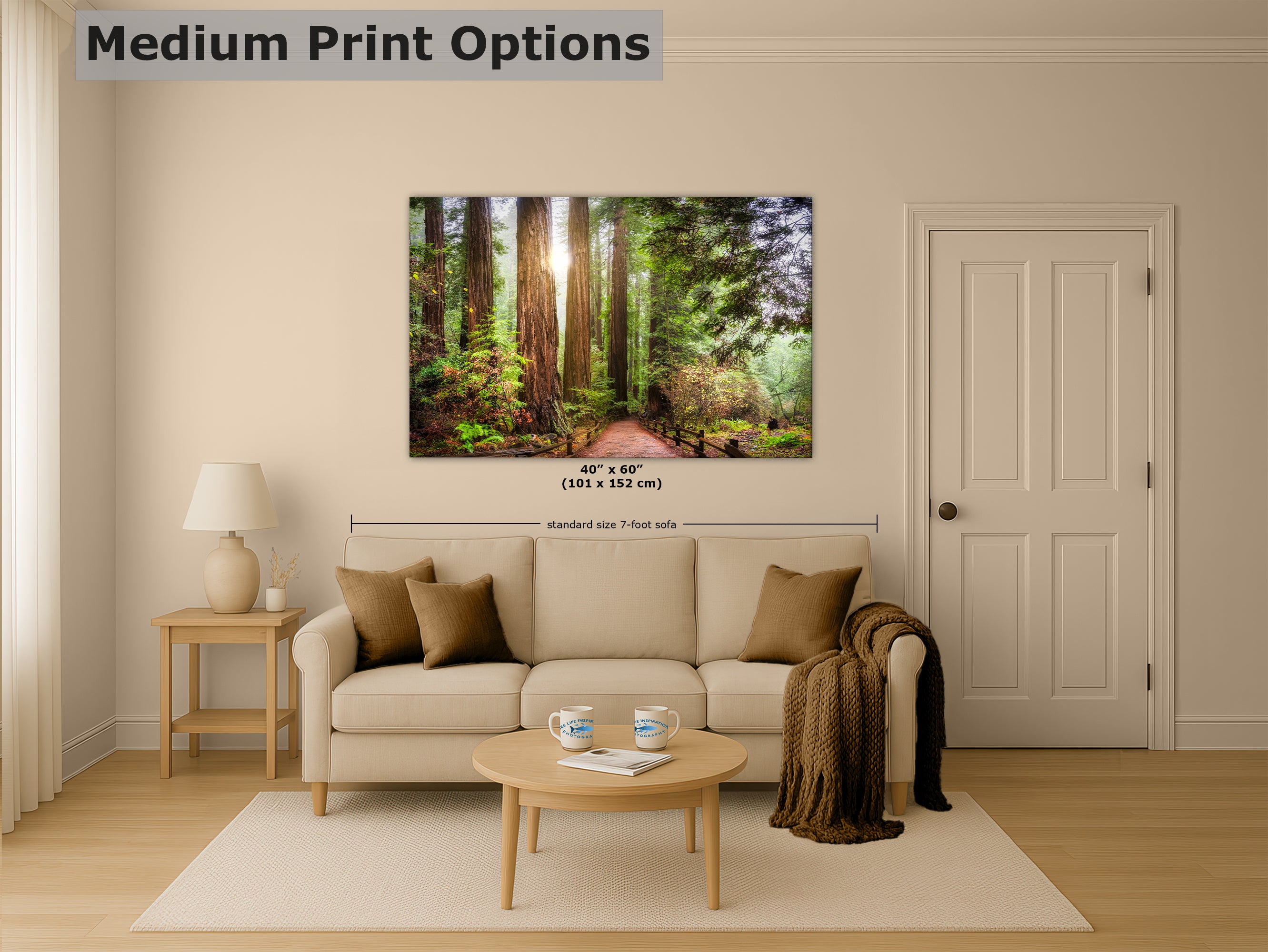 Redwood Trees Forest Picture Sunrise Nature Photo