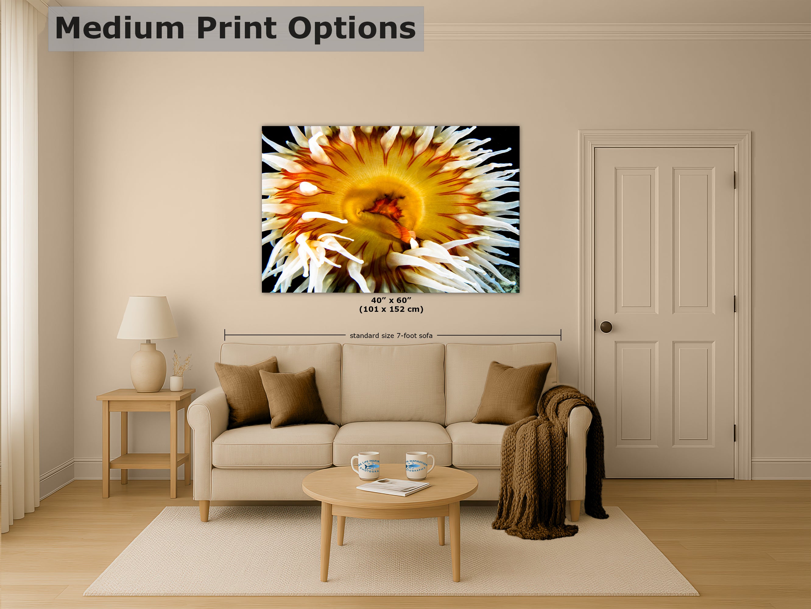 Sea Anemone Picture Ocean Life Underwater Scenery Nature Photo, Marine Biology Coral Reef Art