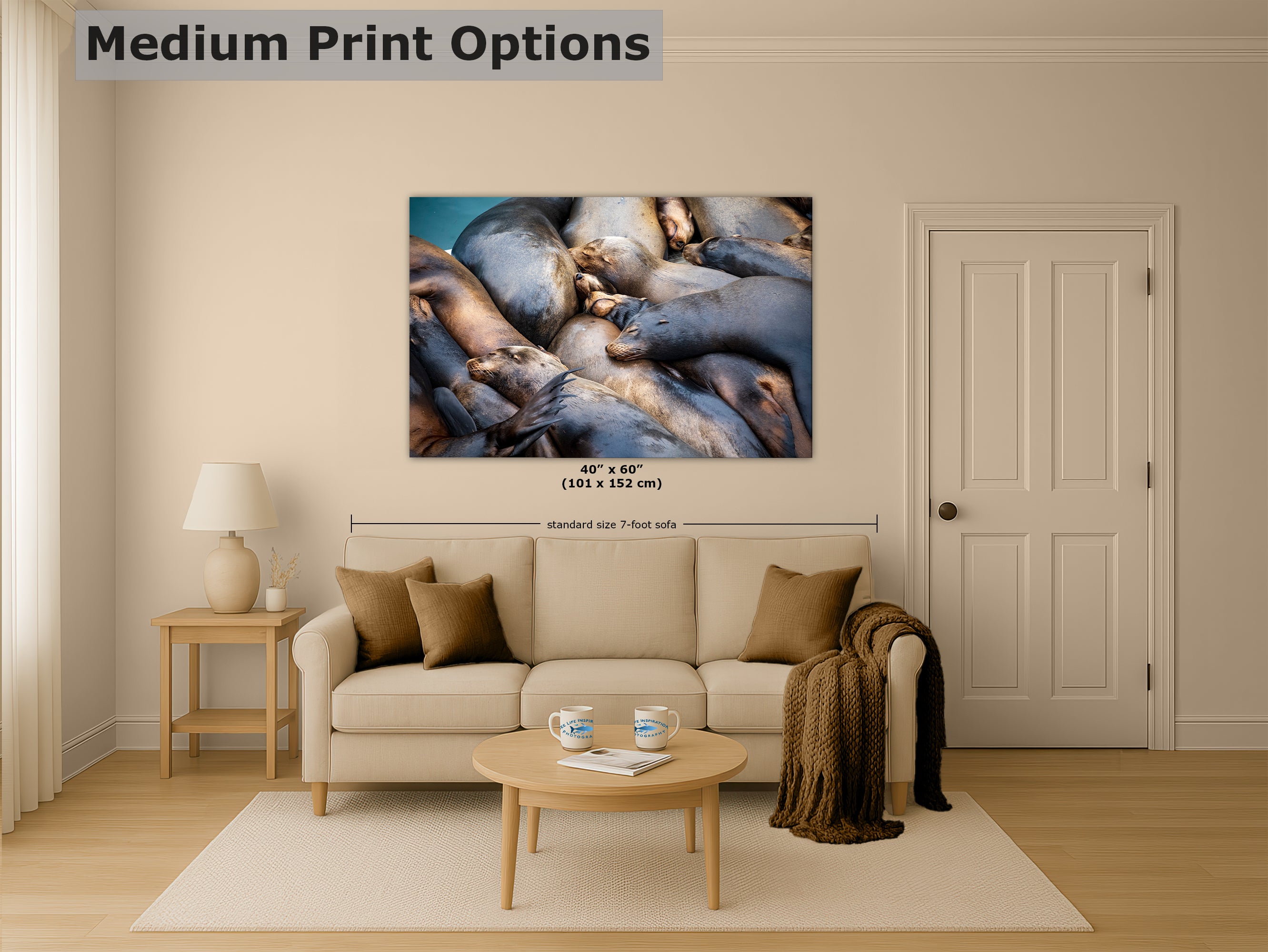 California Sea Lion Marine Mammal Wildlife Photography Wall Art - Ocean Animals Nursery Decor Coastal Home Artwork, Marine Biology Print