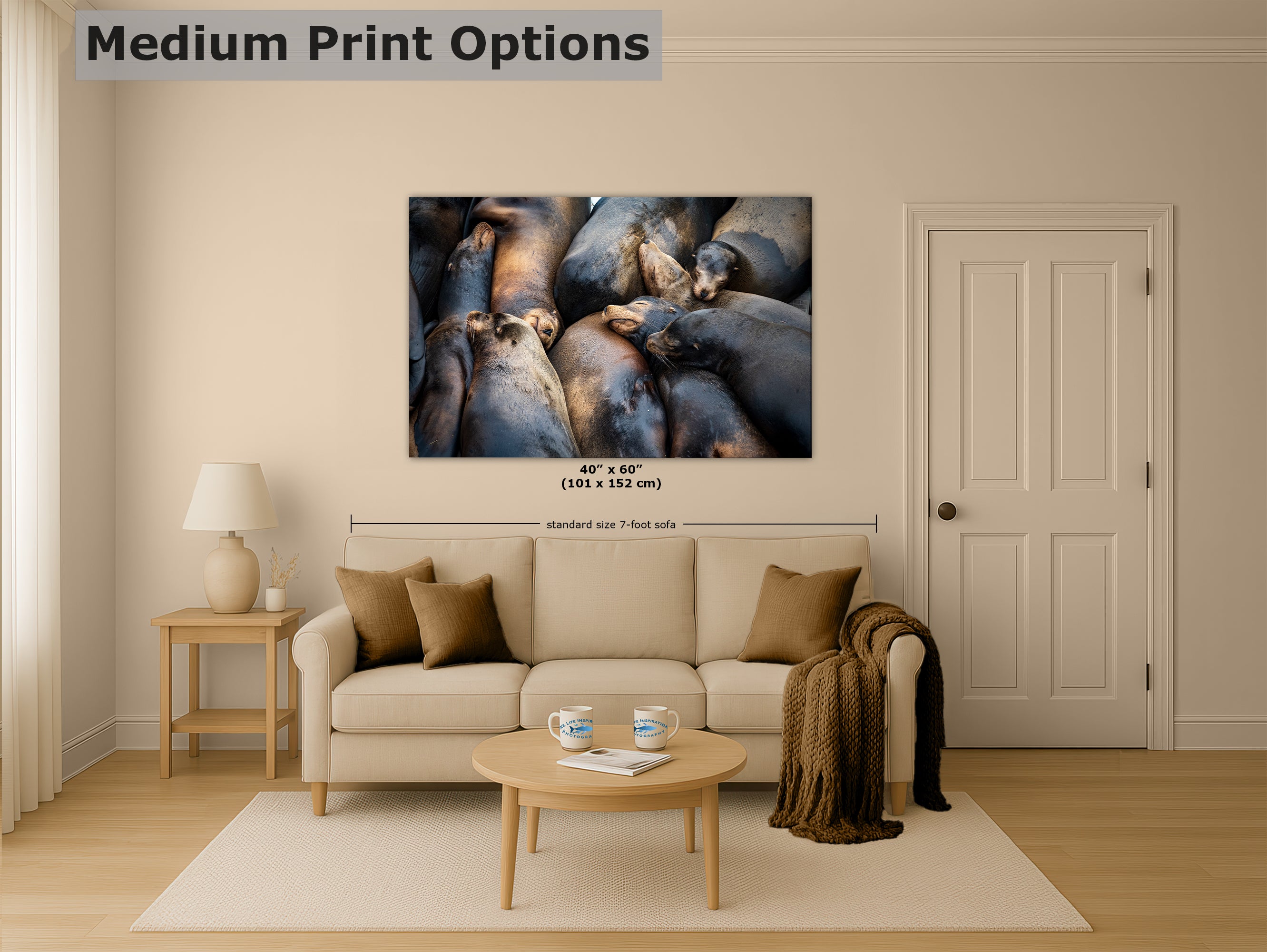 California Sea Lion Marine Mammal Wildlife Photography, Ocean Animals Nursery Decor, Relaxation Artwork for Beach-Themed Rooms