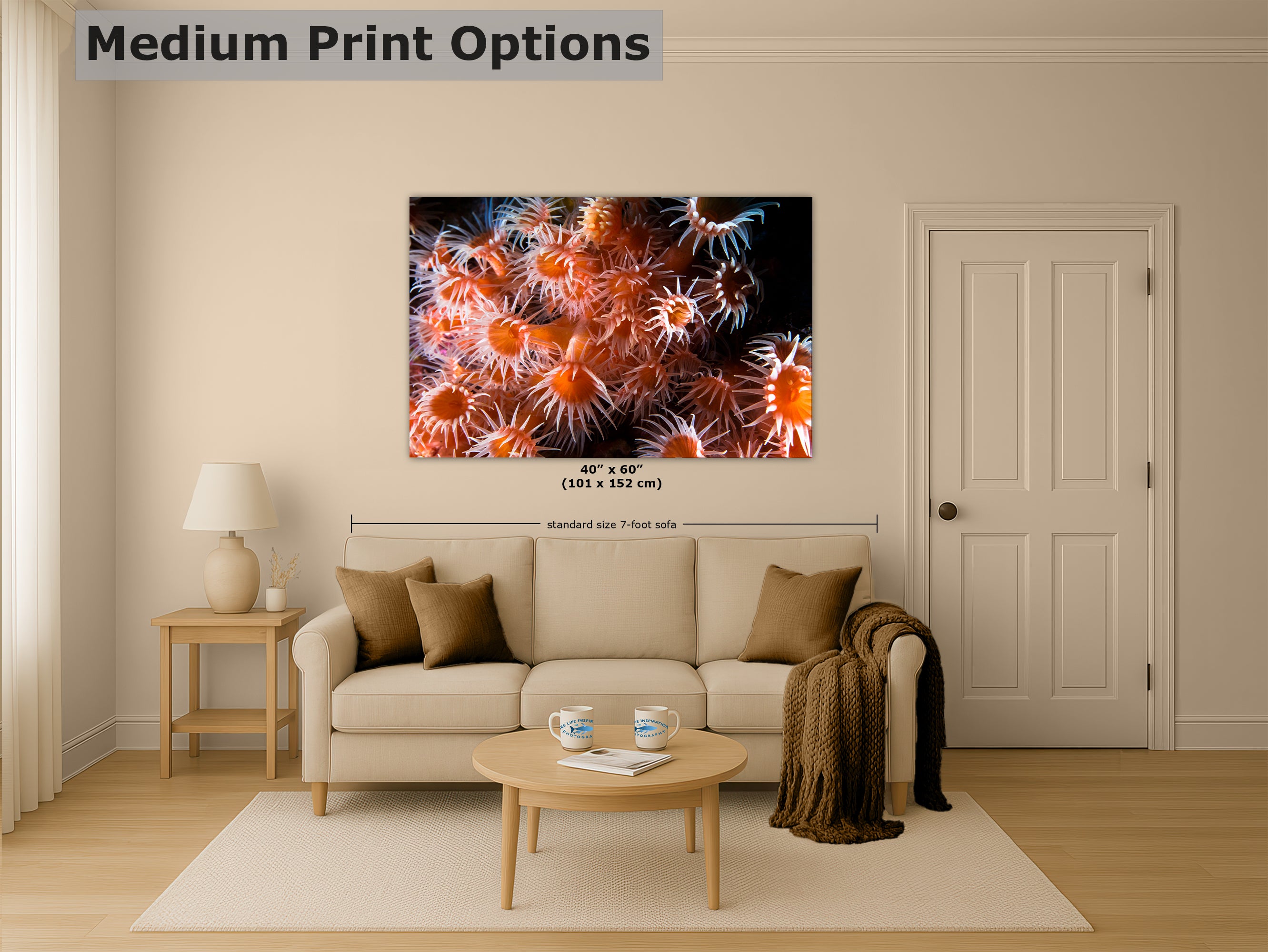 Sea Anemone Picture Ocean Life Underwater Scenery Nature Photo, Marine Biology Wall Art, Vibrant Orange Zoanthid Coral Reef, Ocean Decor