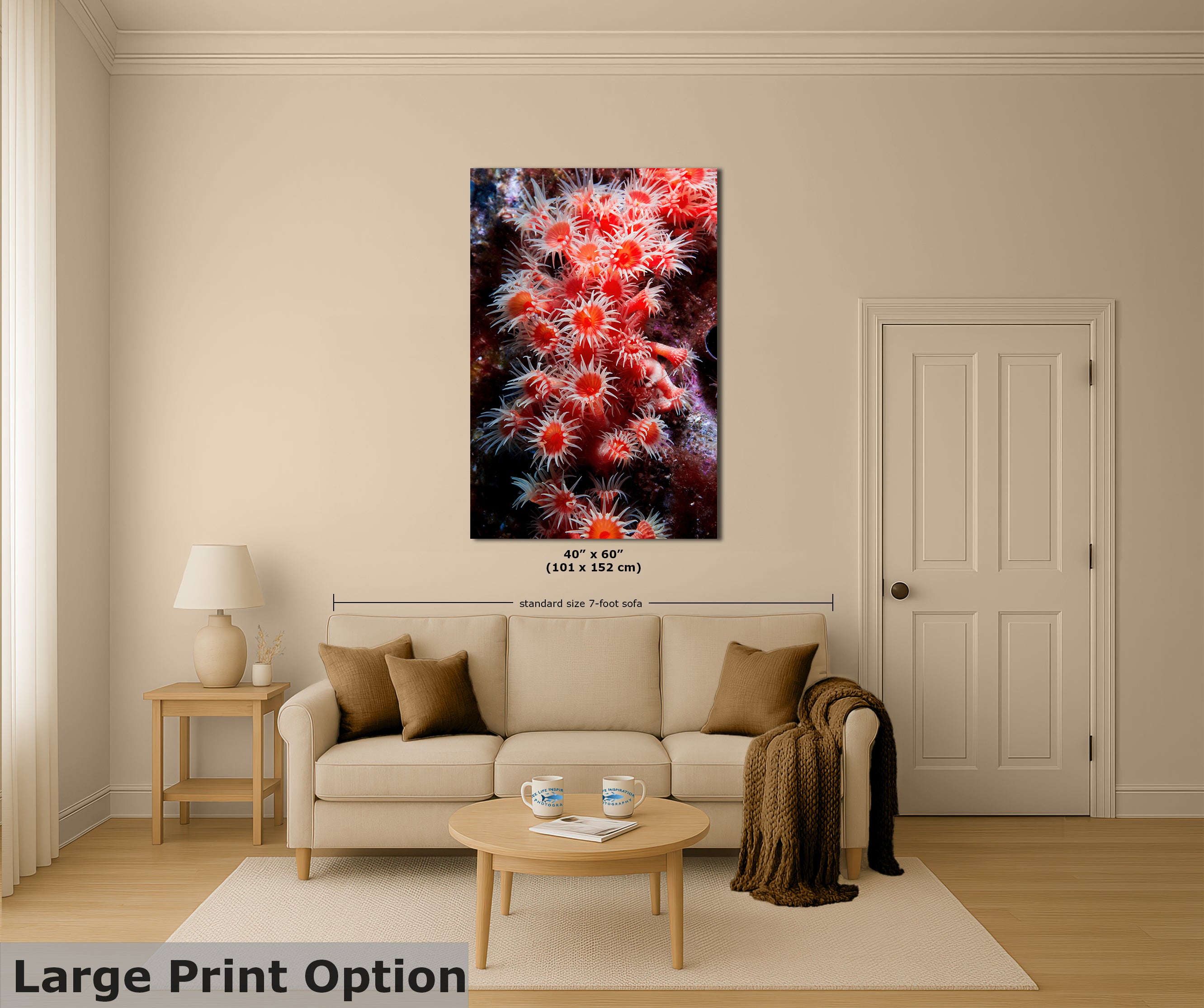 Sea Anemone Picture Ocean Life Underwater Scenery Nature Photo, Marine Biology Wall Art, Coral Reef Decor, Office & Dorm Room Decoration