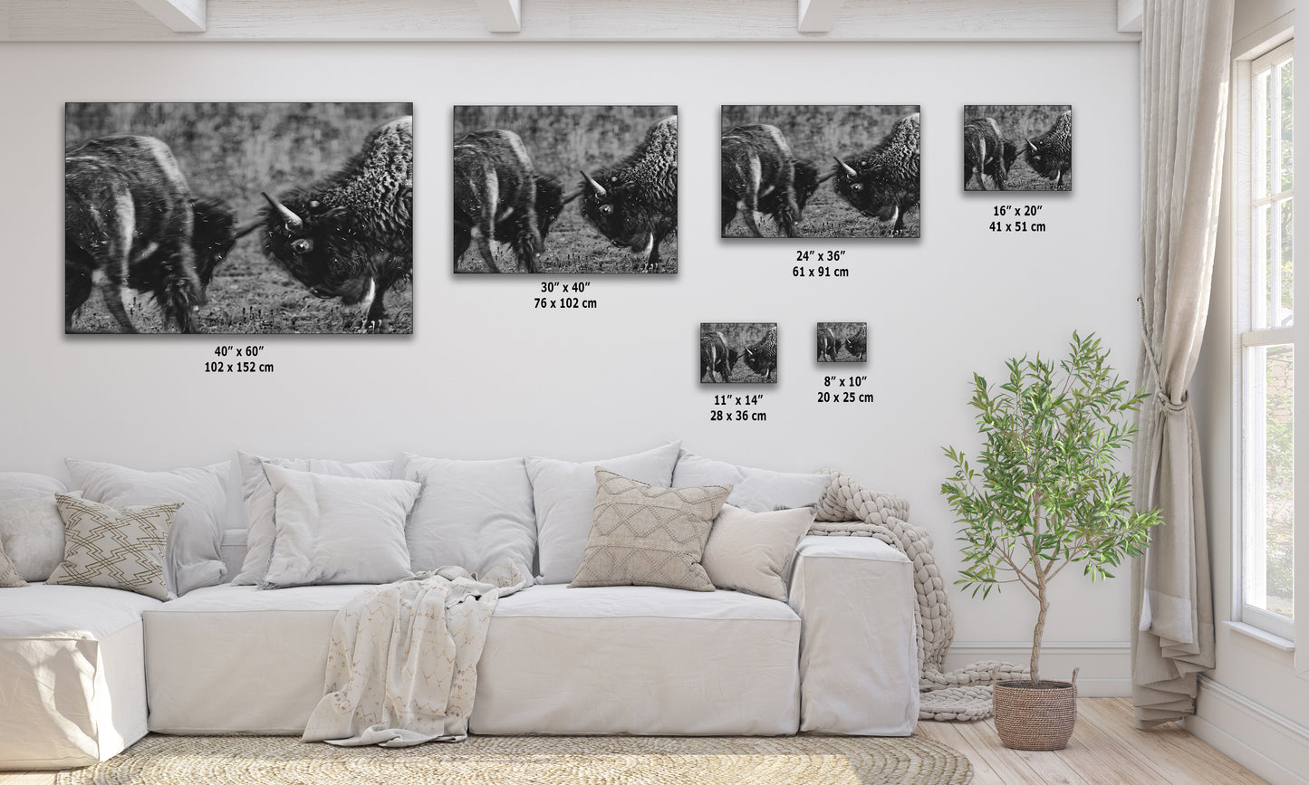 Buffalo Artwork Wildlife Photography, Black and White Bison Wall Decor, Rustic Cabin Animal Print, Nature Wall Art for Home or Office