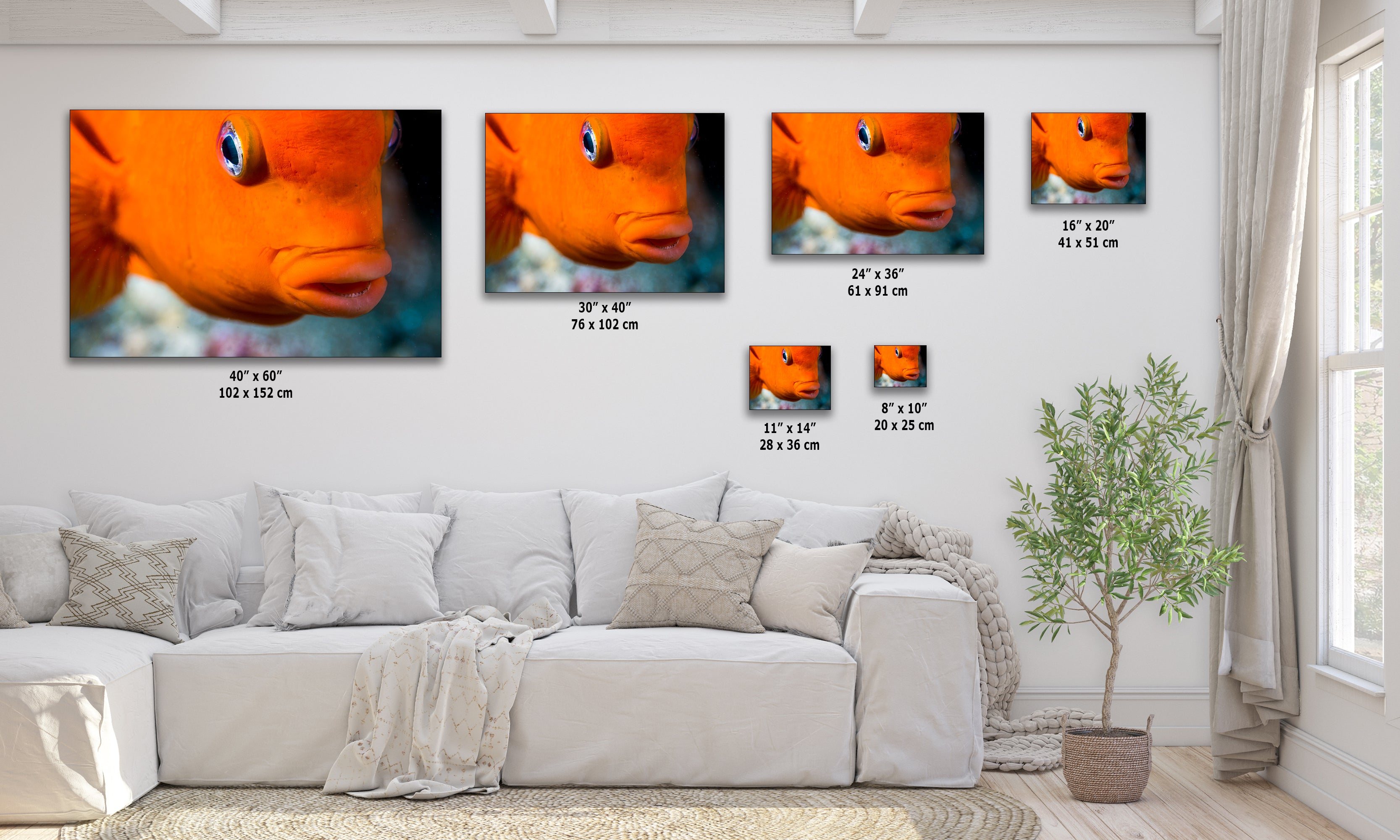Garibaldi Fish Marine Biology Ocean Life, Underwater Scenery Nature Photo, California Marine Inhabitant, Nature Decor, Relaxation Artwork